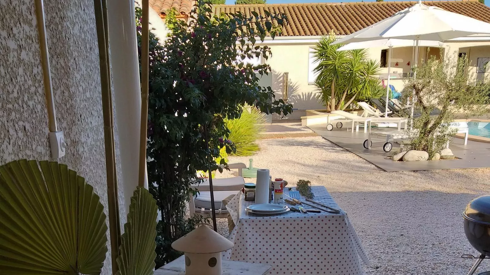 Parasar-Gardens summer