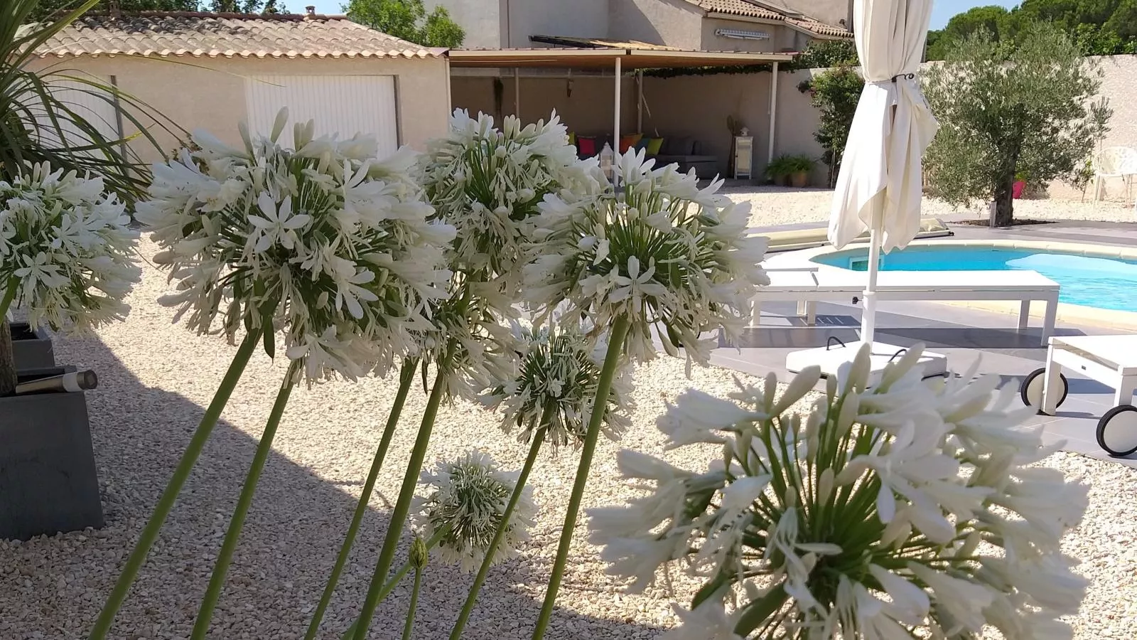 Parasar-Gardens summer