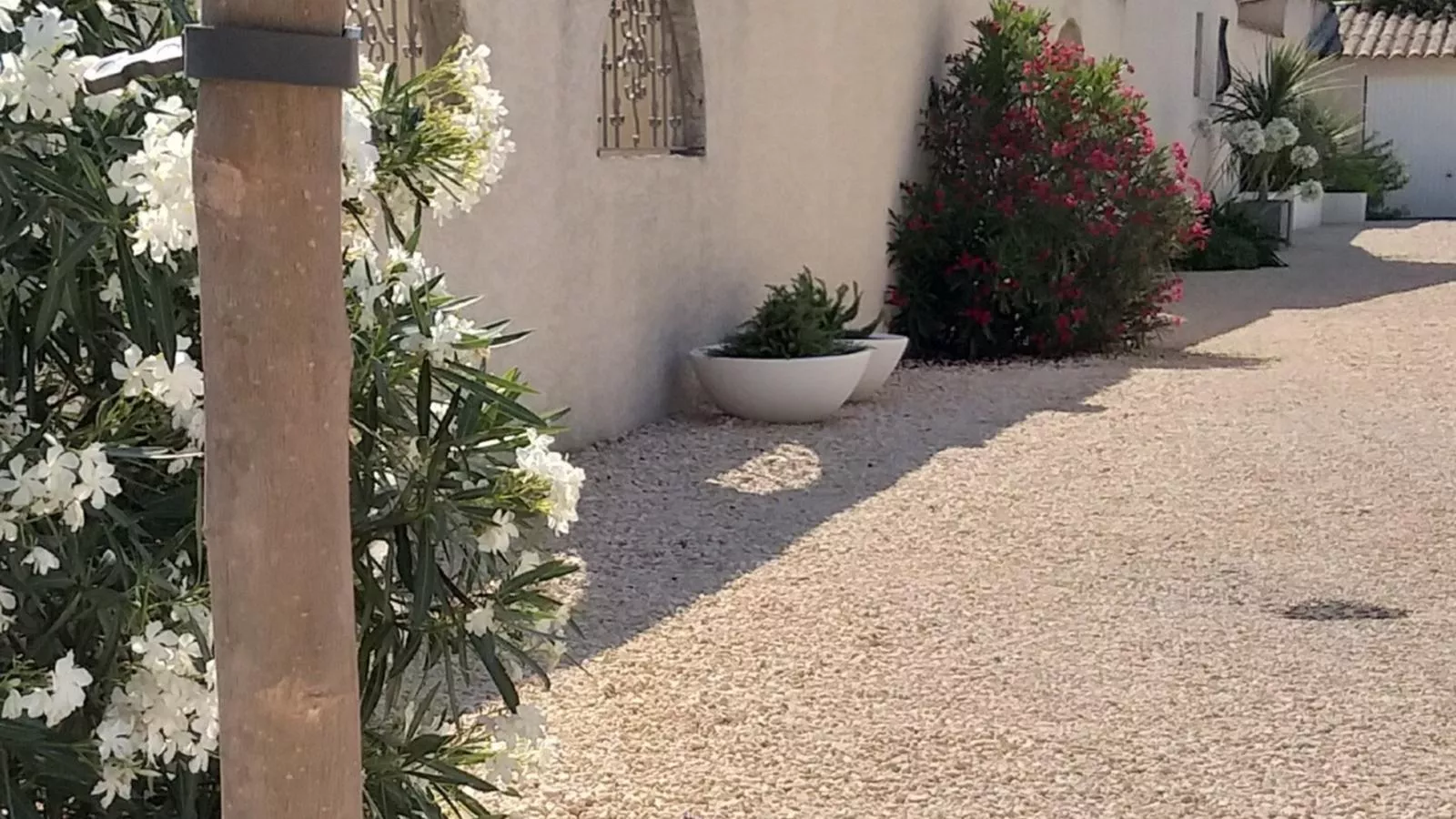 Parasar-Gardens summer