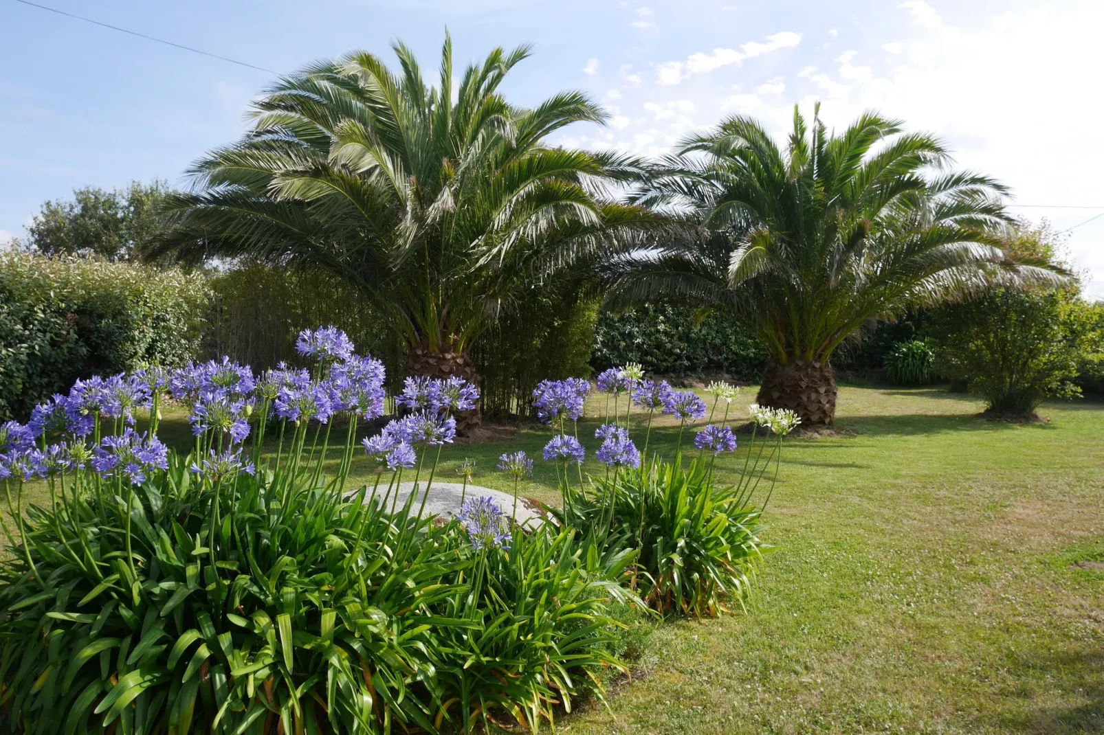 Ferienhaus Plounéour-Brignogan-Plages-Garten Sommer