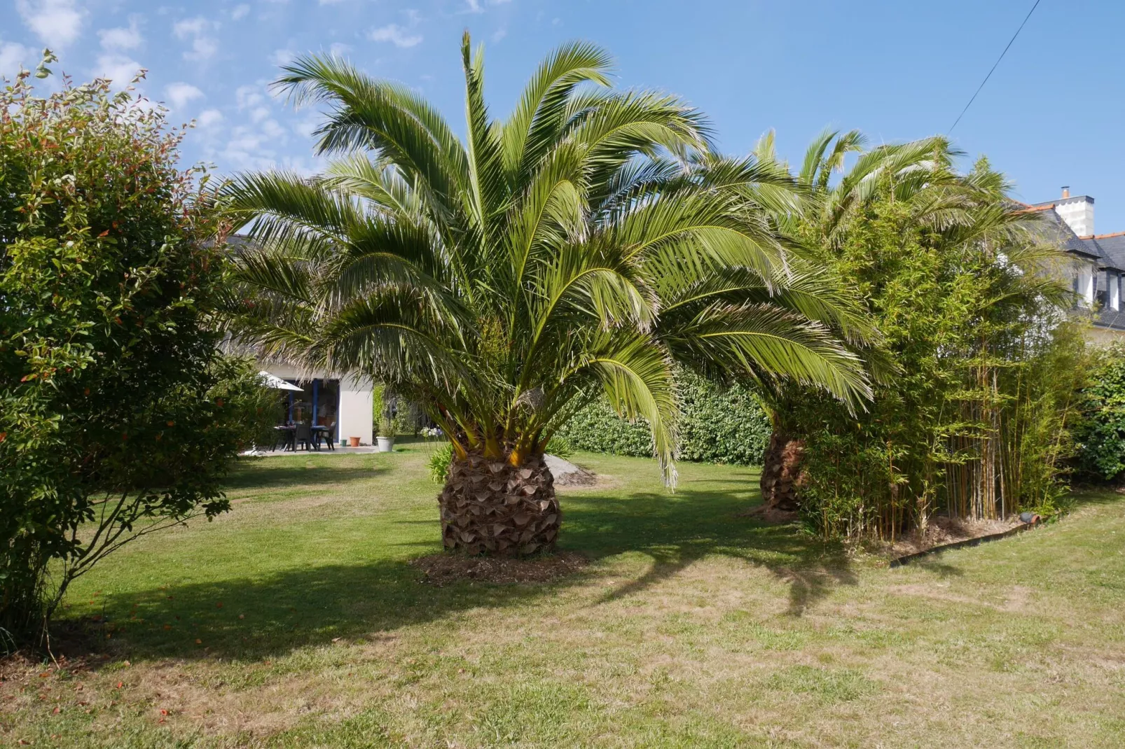 Ferienhaus Plounéour-Brignogan-Plages-Garten Sommer