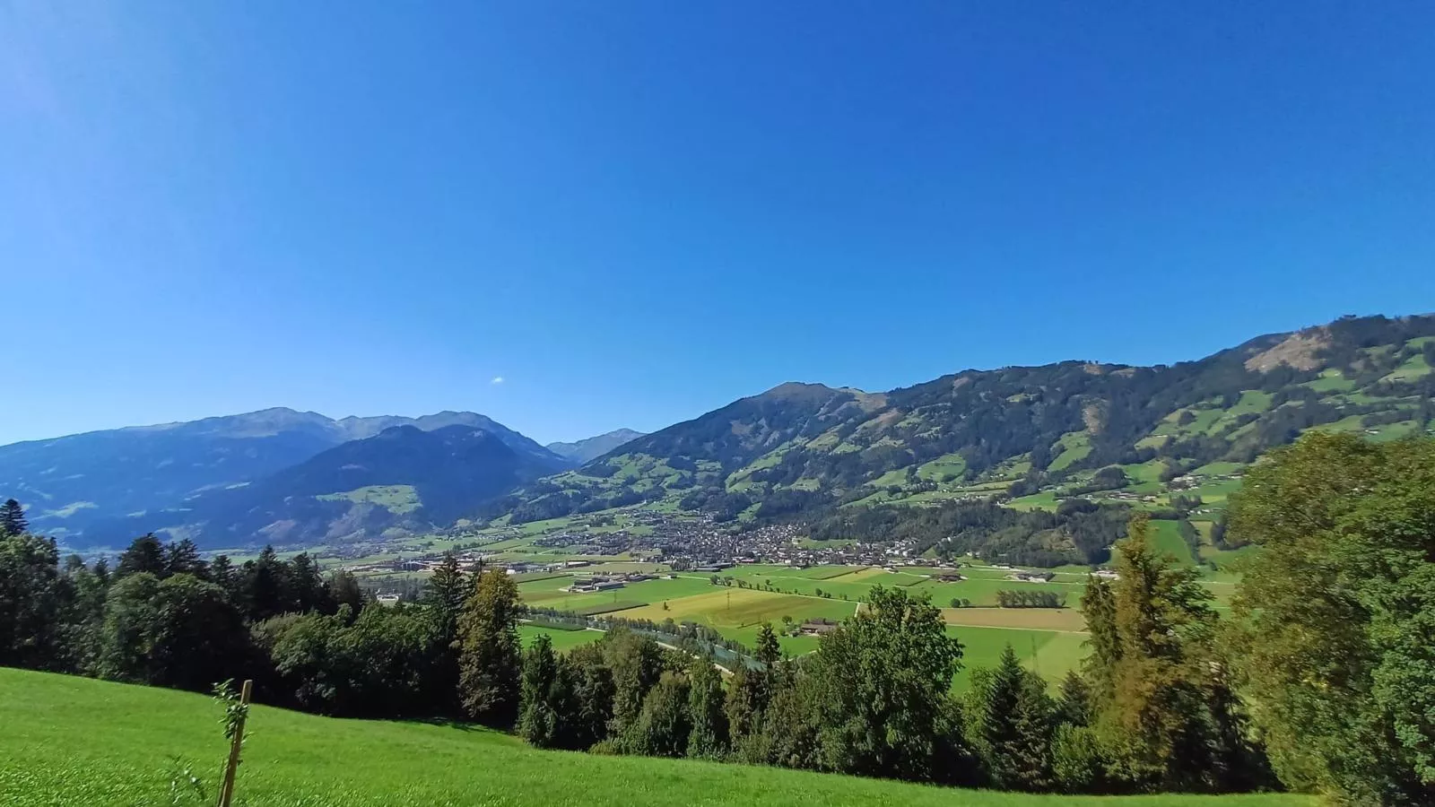 Steiner-View summer