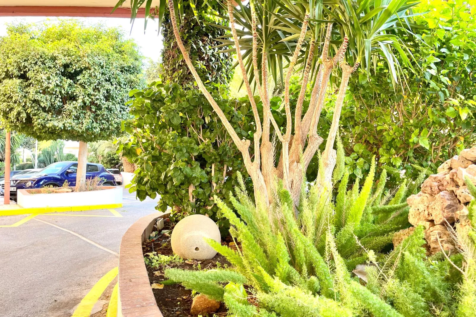 Duquesa de España-Gardens summer