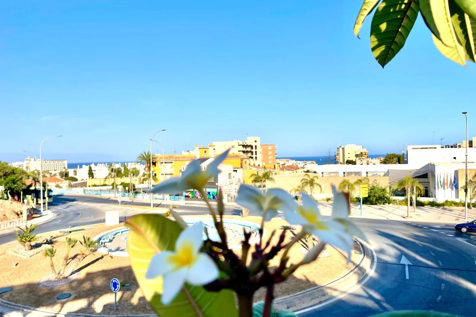 Duquesa de España-View summer