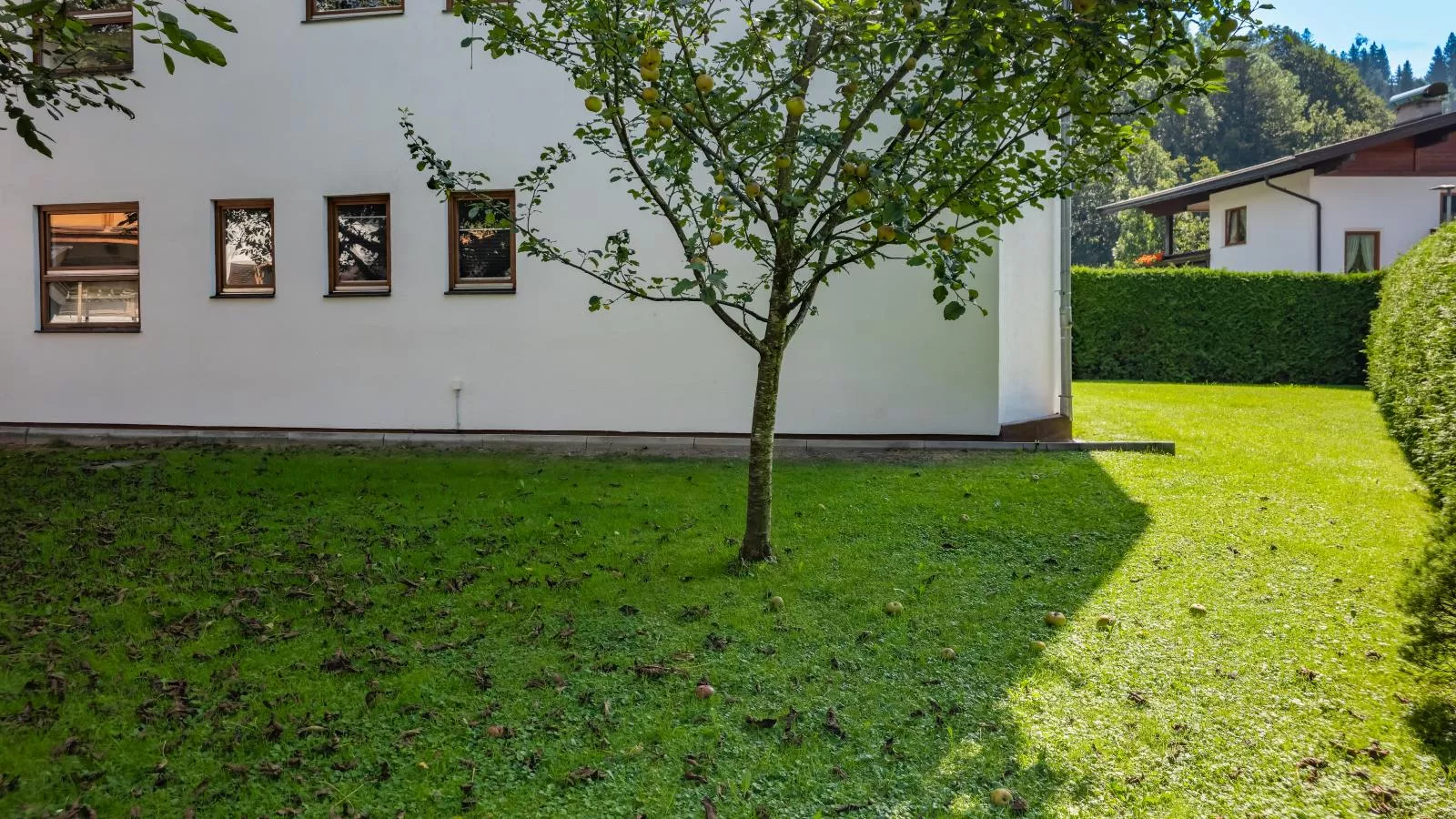 Wald TOP 2-Exterior summer