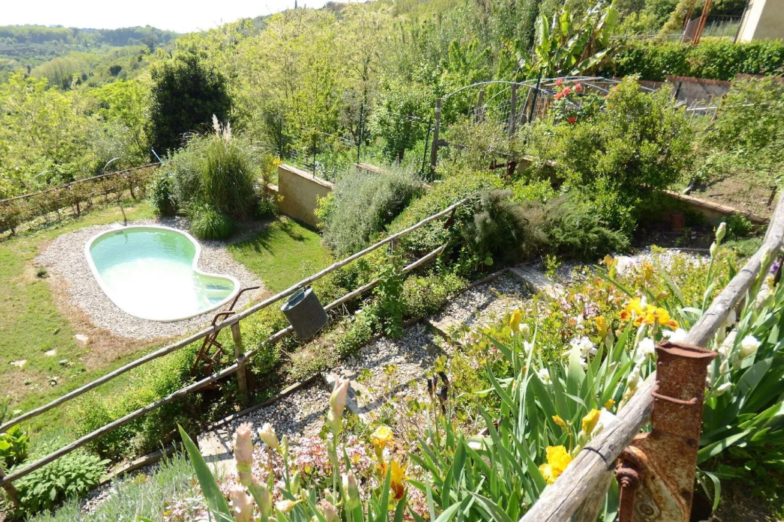 Al Colle Di Lari-Gardens summer