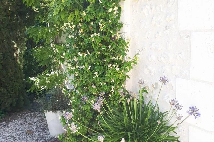 Maison de vacances Verteillac-Gardens summer