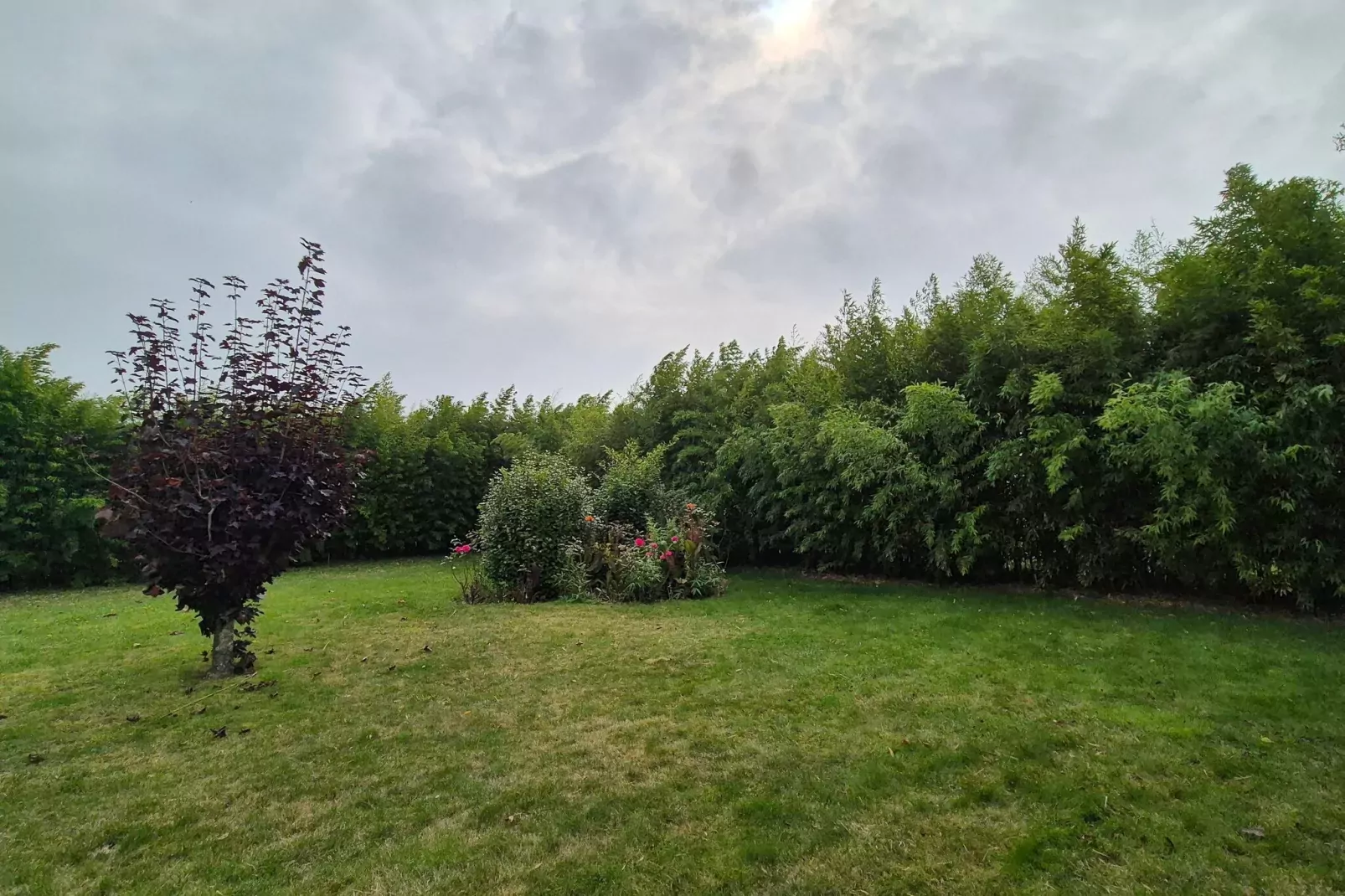 Maison de pêcheur Plougoulm-Gardens summer
