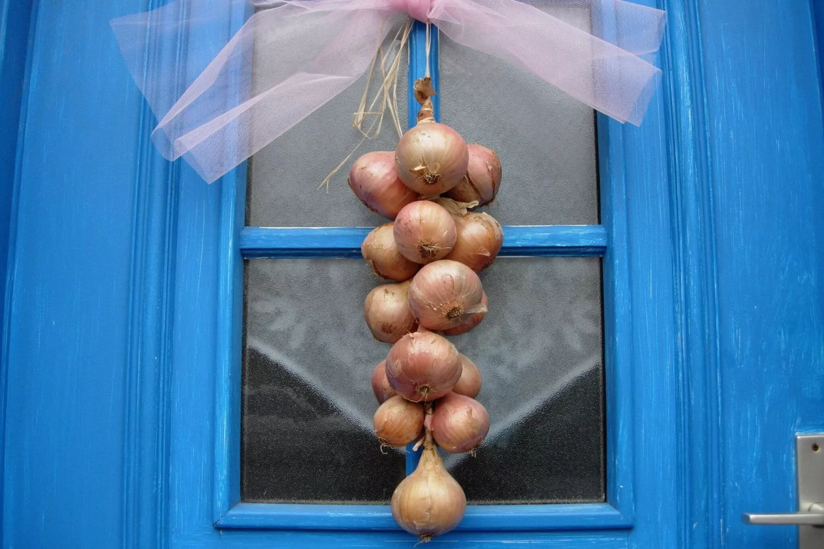 Maison de pêcheur Plougoulm-Outdoor