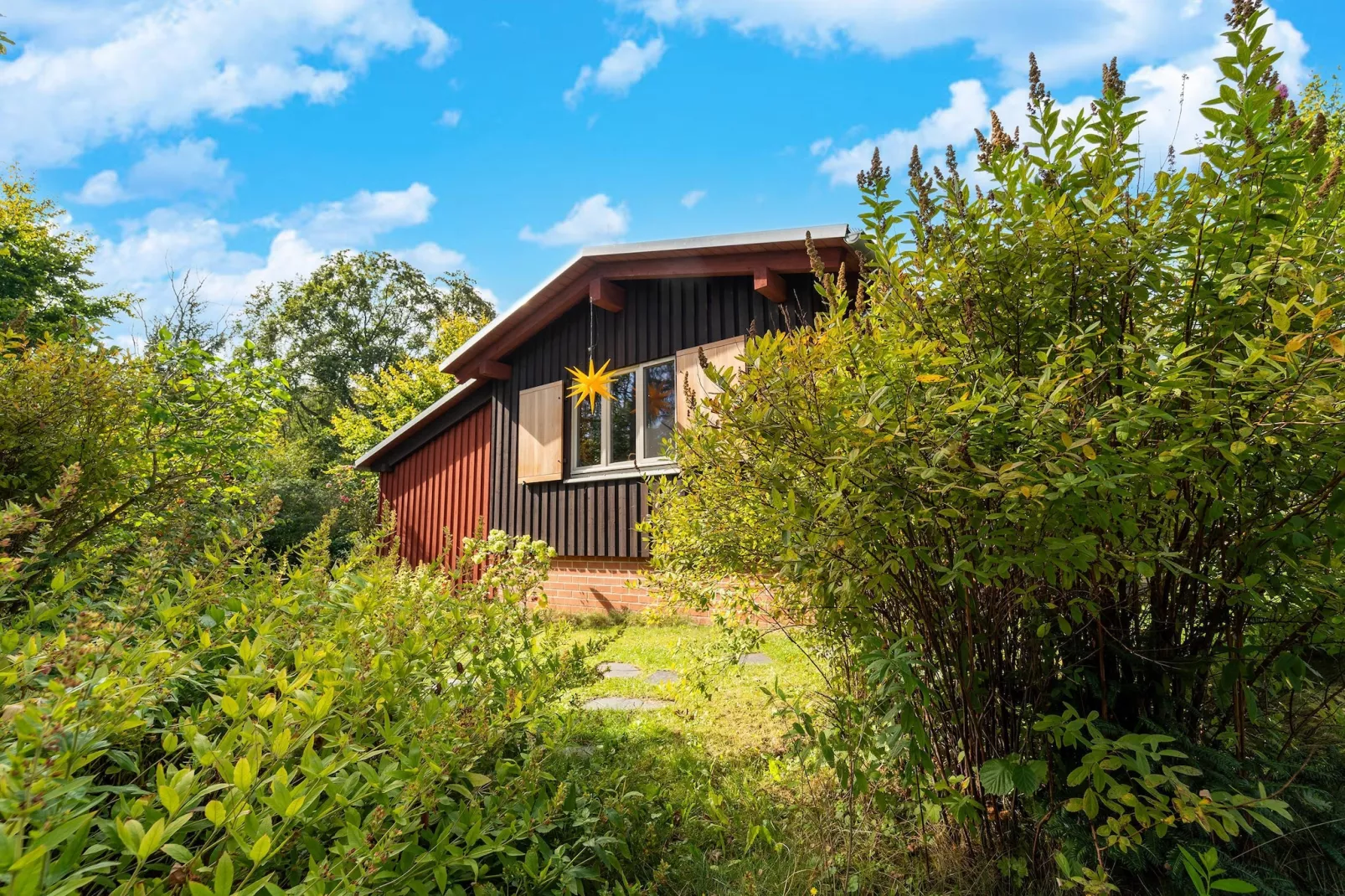 Waldhaus Harz-Außenbereich Sommer