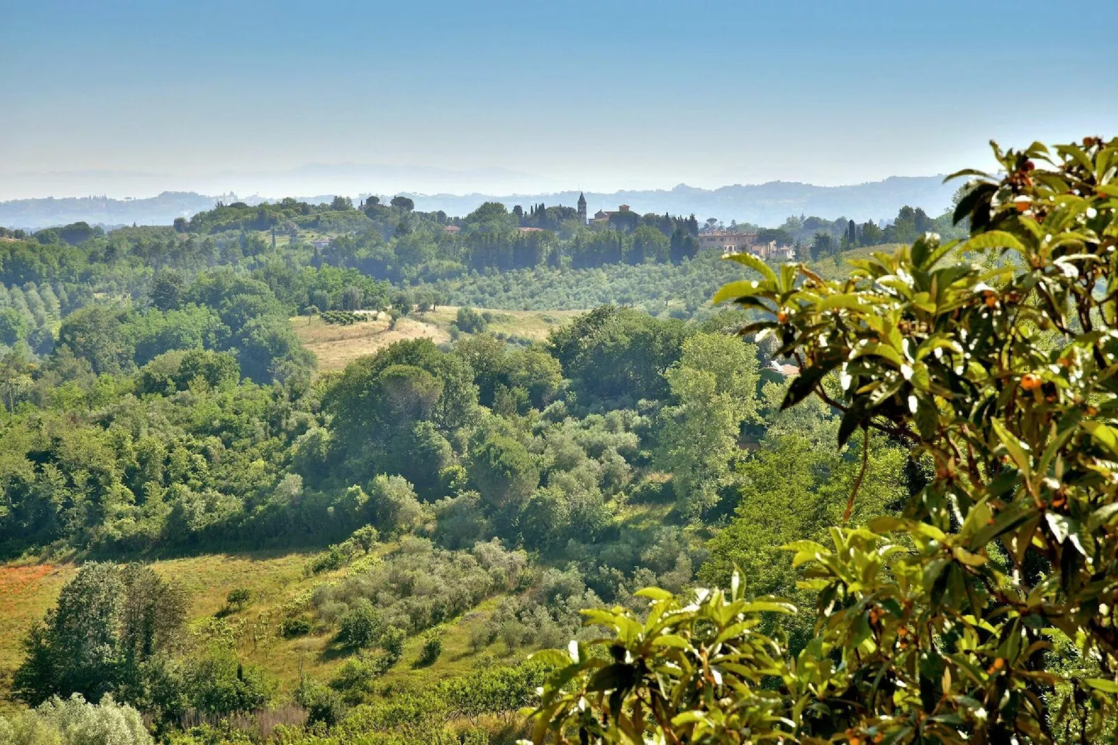 Giuditta Sei-View summer