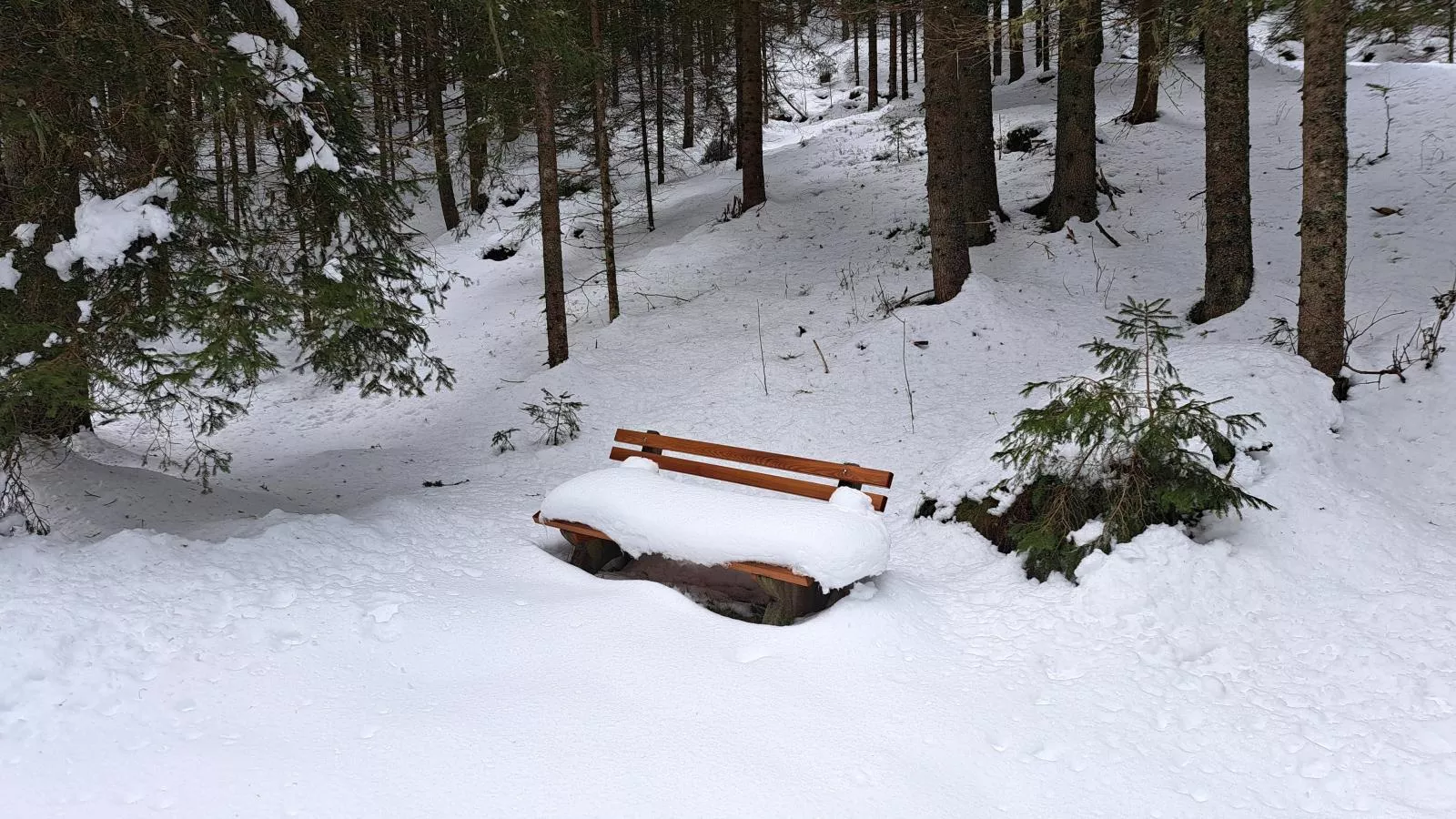 Grebenzen Lodge Edelweiss-Area winter 1km