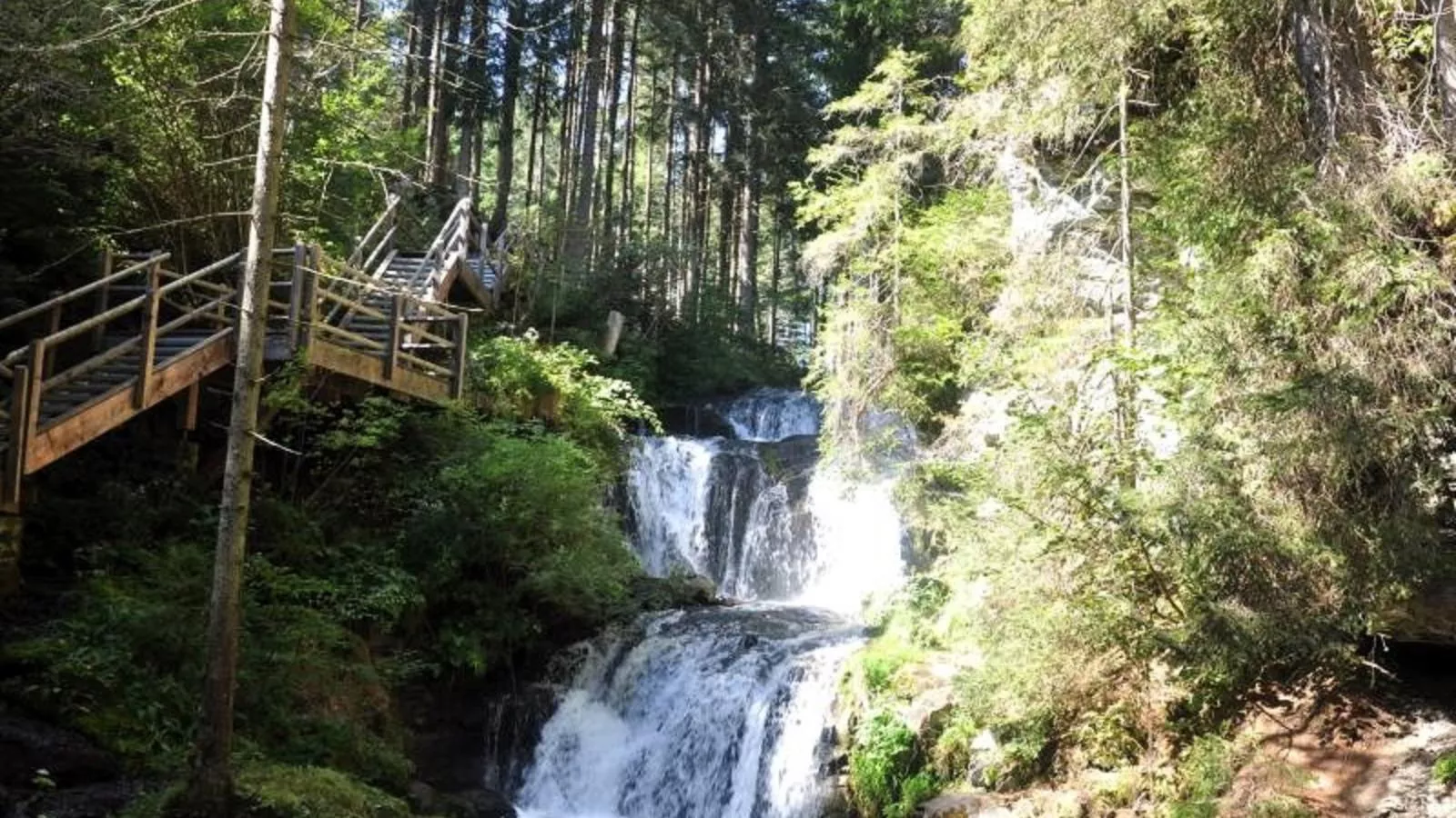 Grebenzen Lodge Edelweiss-Areas summer 20km