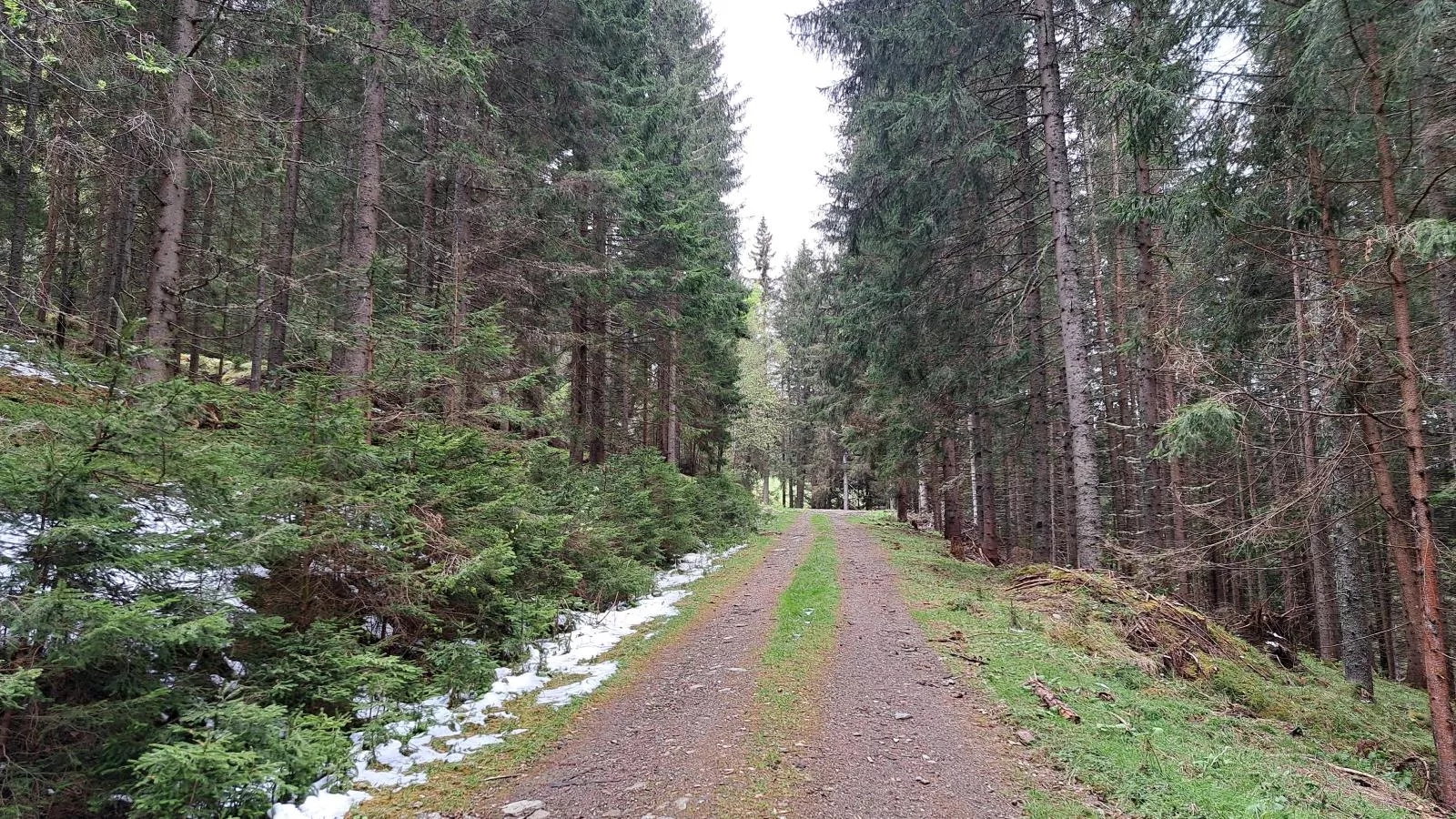 Grebenzen Lodge Edelweiss-Areas summer 5km