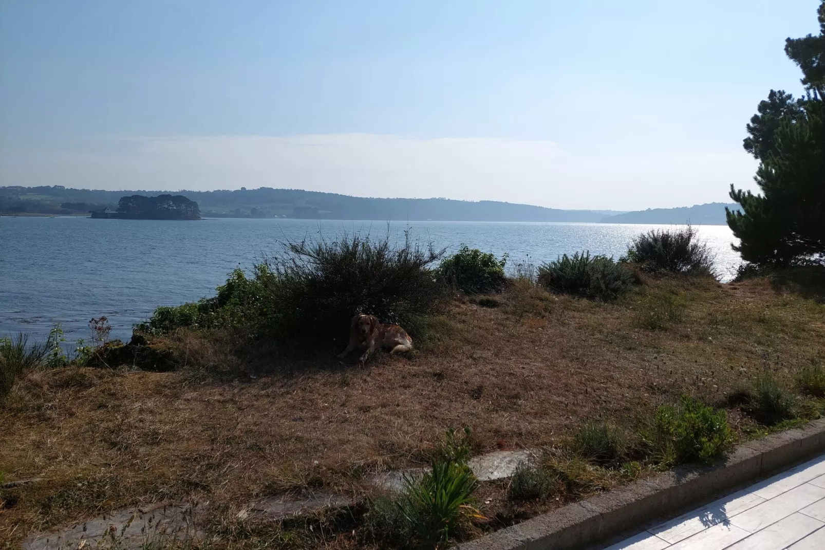 Ferienhaus vom Meer umgeben Hanvec-View summer