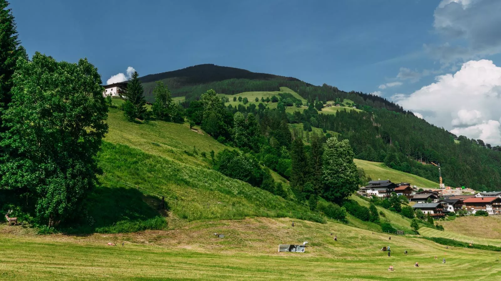 Residenz Steinbock Top 1A-View summer