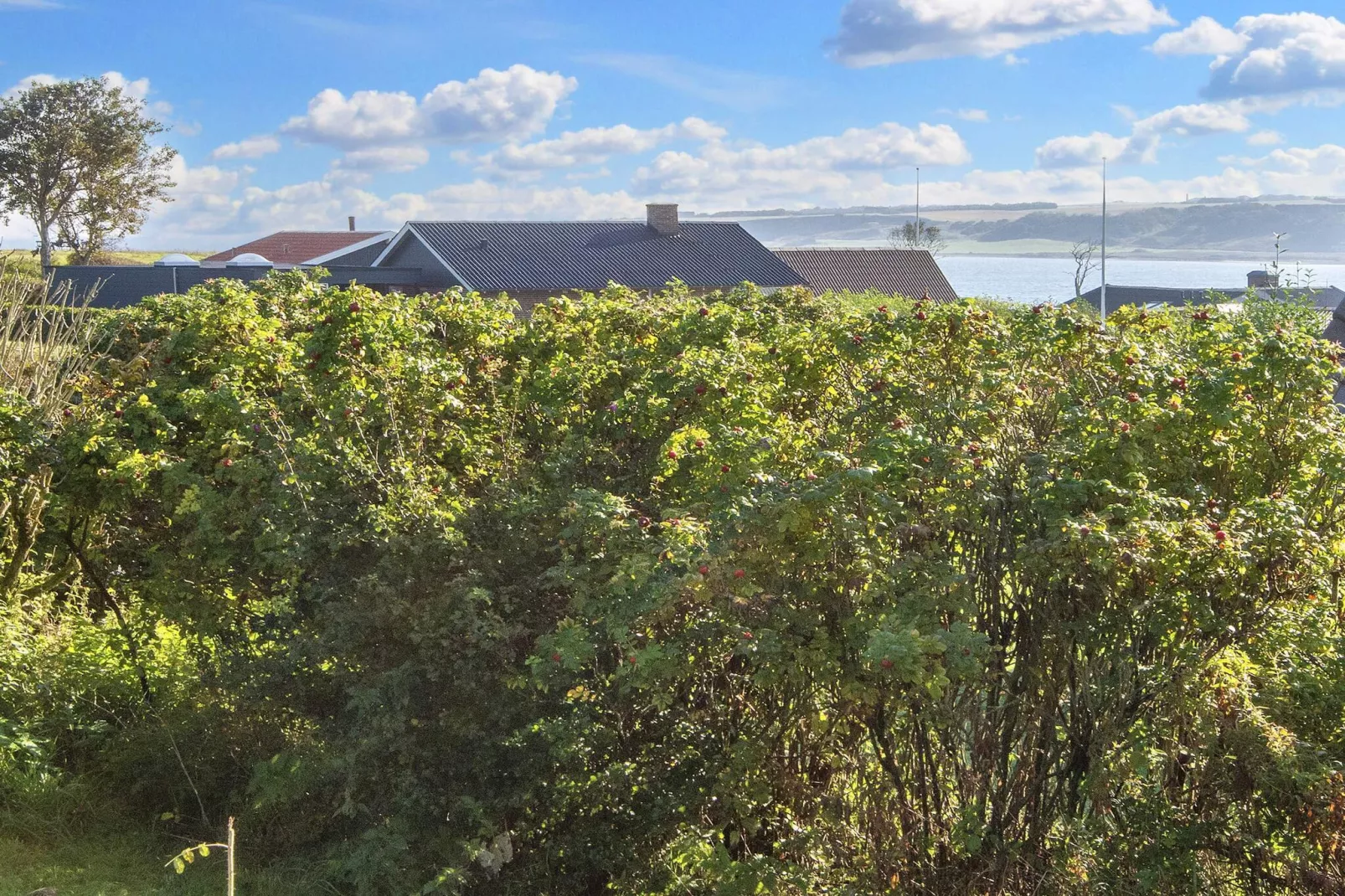 Maison de vacances pour 7 a Lemvig-By Traum - Extérieur