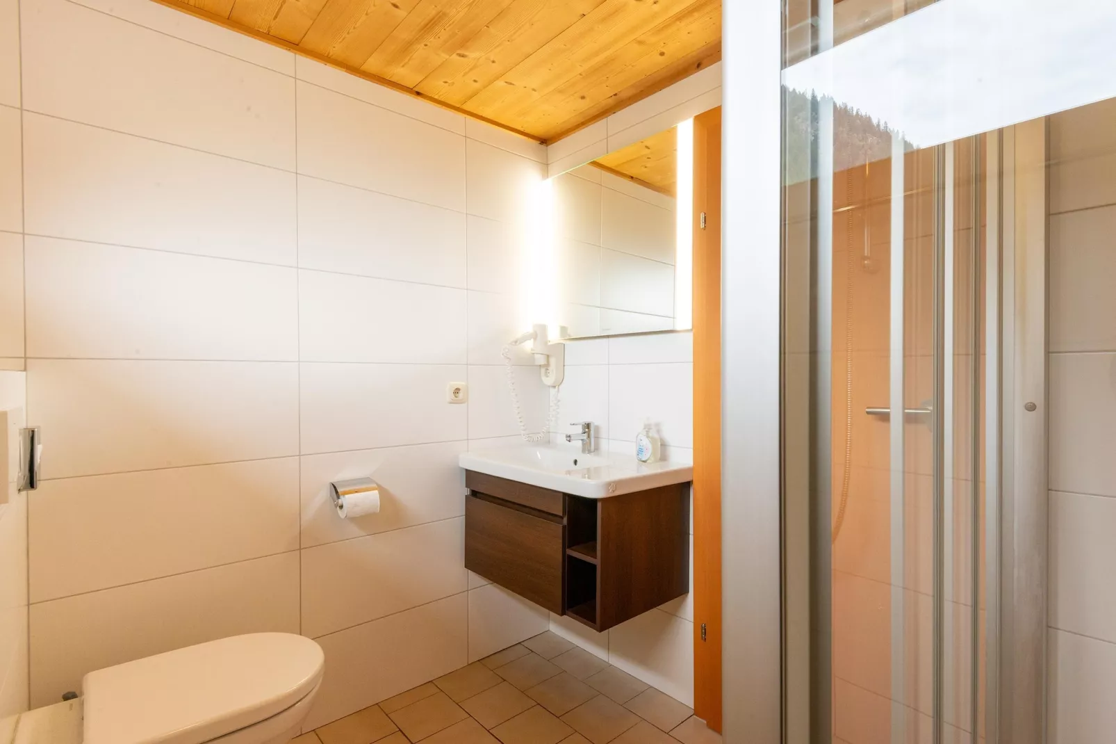 Apartment 4-6/3-Badezimmer
