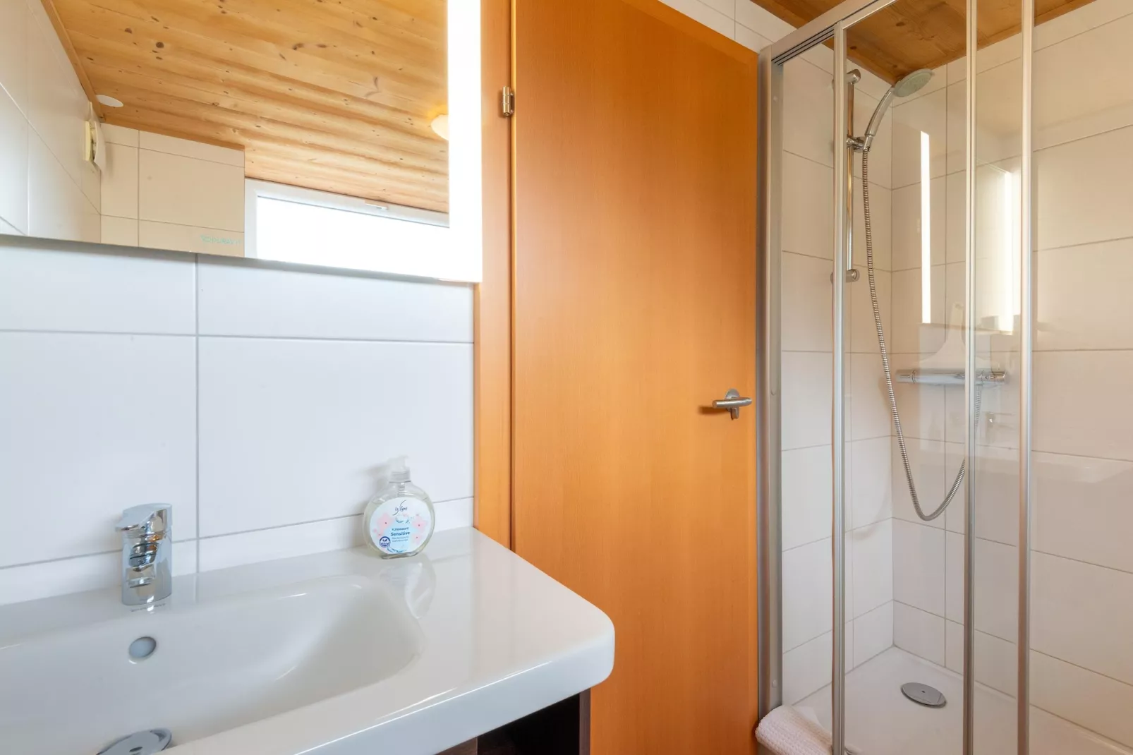 Apartment 4-6/3-Badezimmer