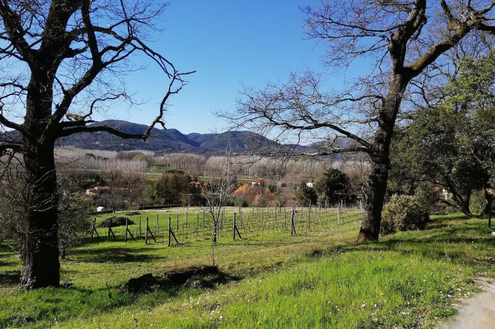 Le Piane-Areas summer 1km