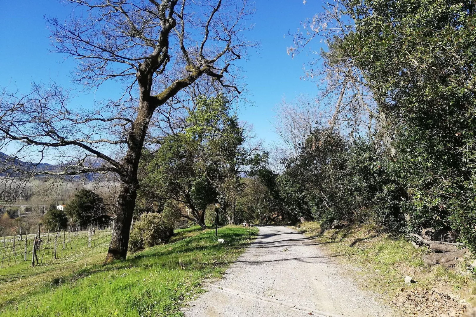 Le Piane-Areas summer 1km