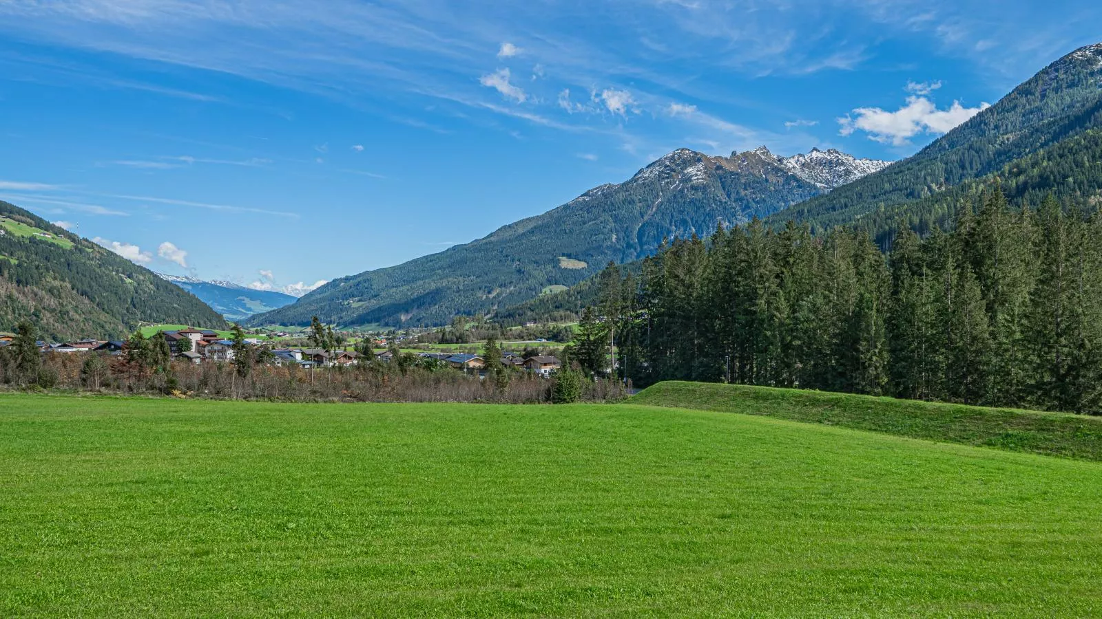 Moser-View summer