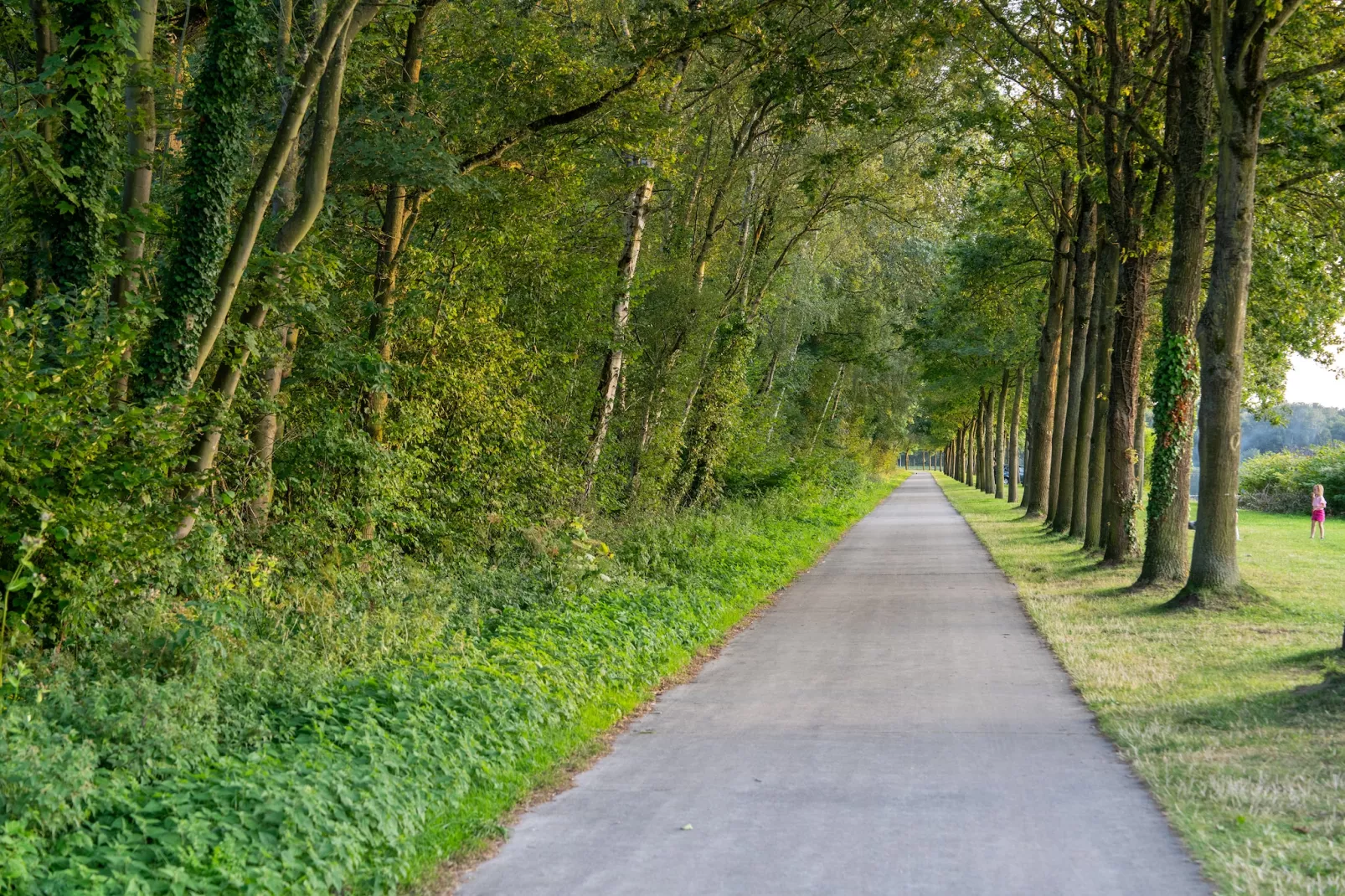 The Blue Lodge by YourNature-Areas summer 5km