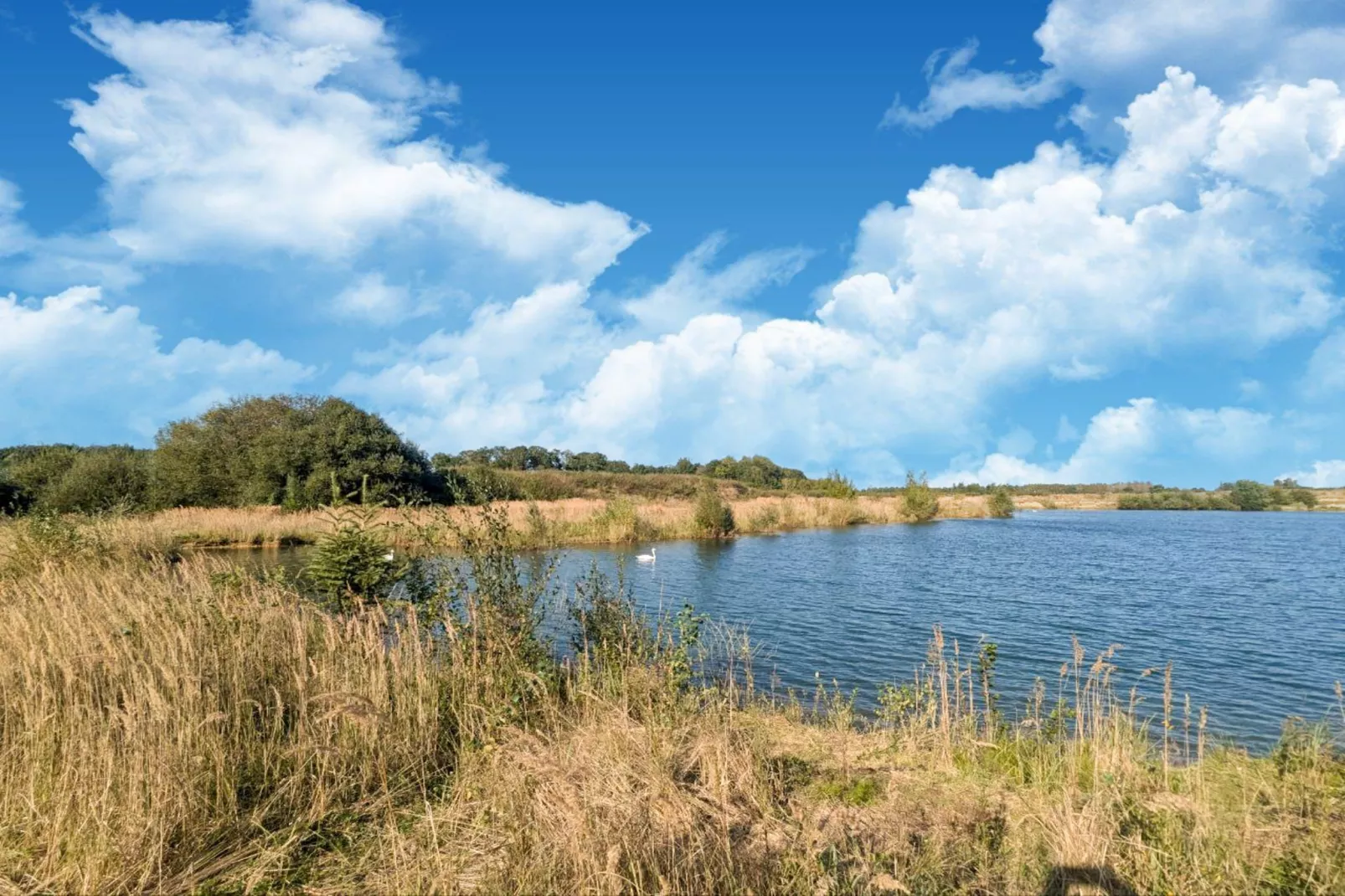 The Lake House by YourNature-Areas summer 1km