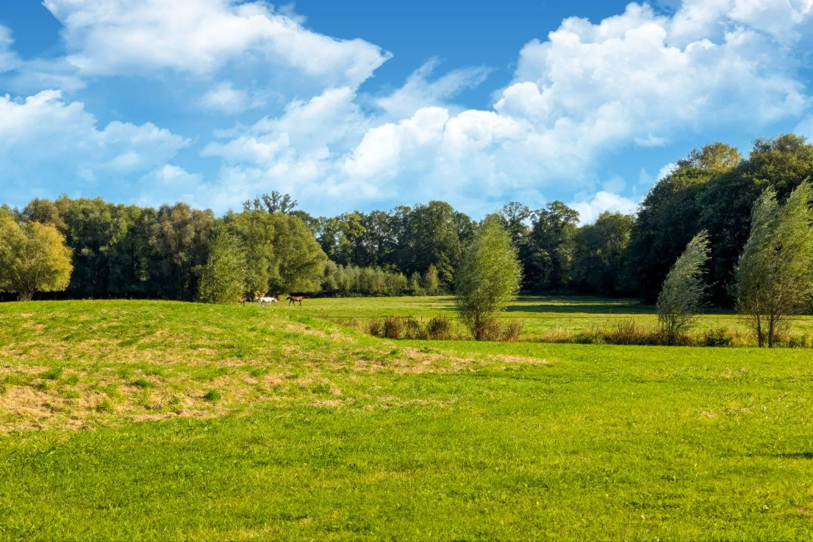 The Lake House by YourNature-Areas summer 1km