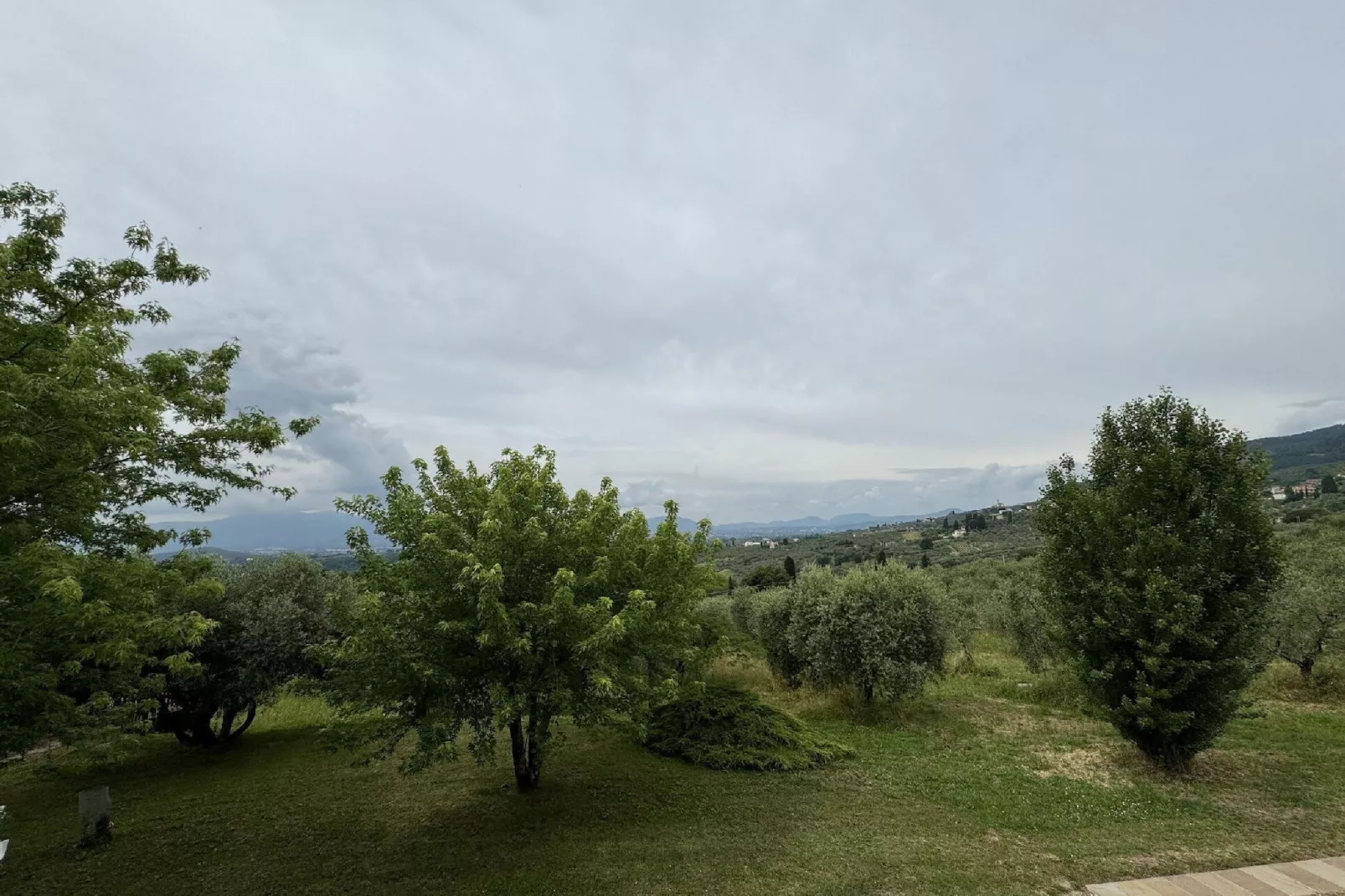 Pinocchio-Areas summer 1km
