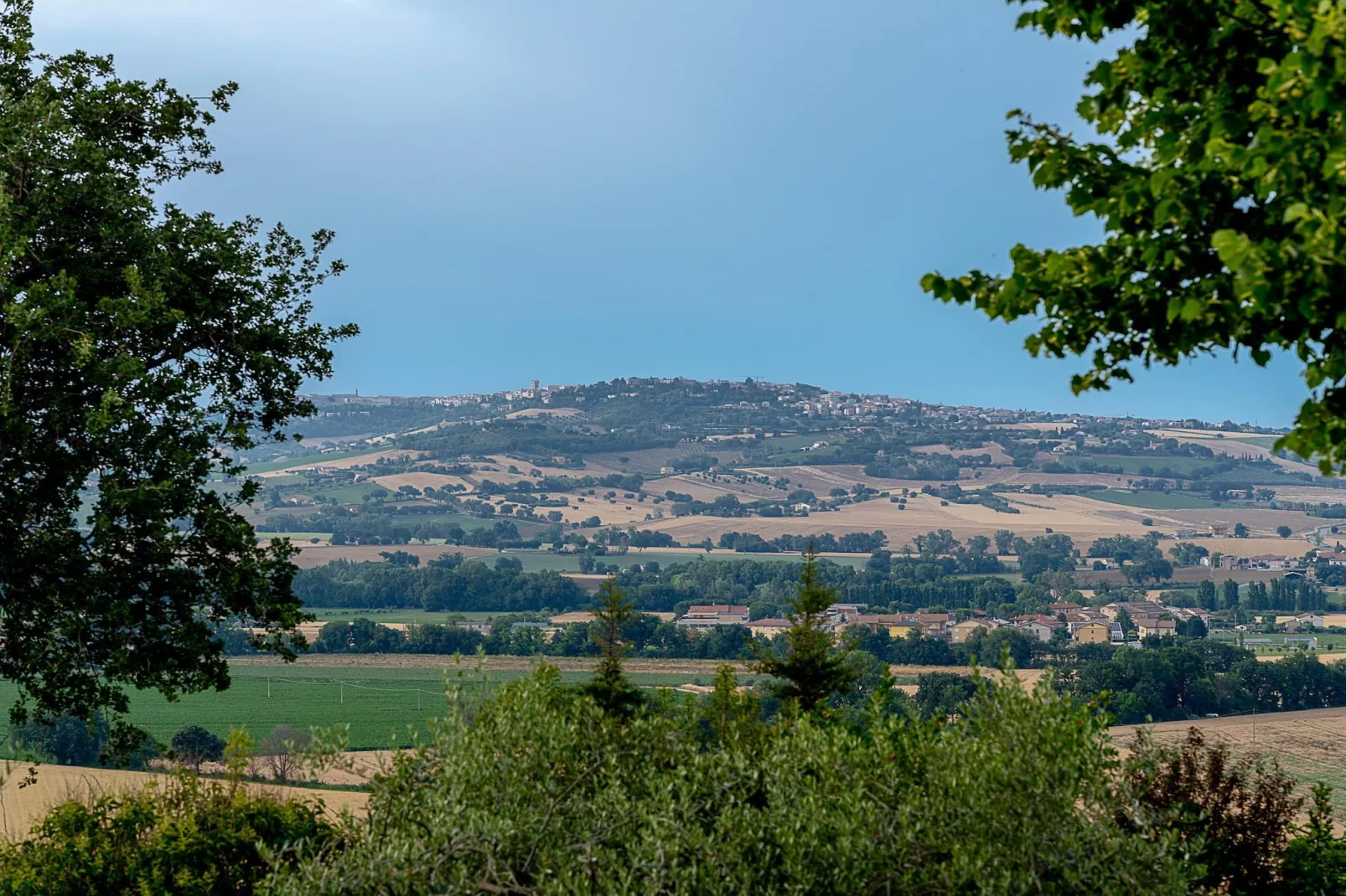 Infiniti Colli 6 pax-View summer