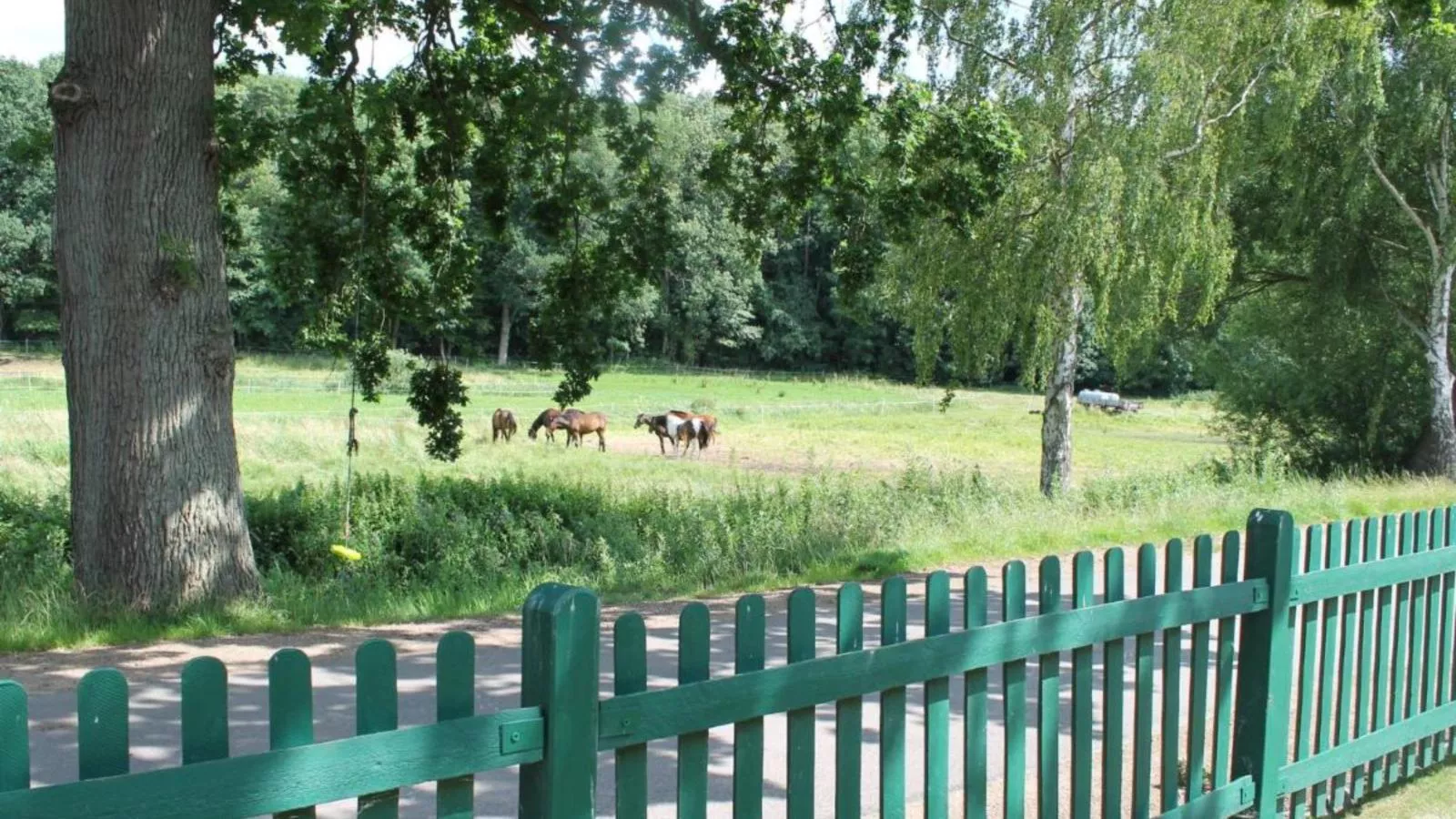 Greta-View summer