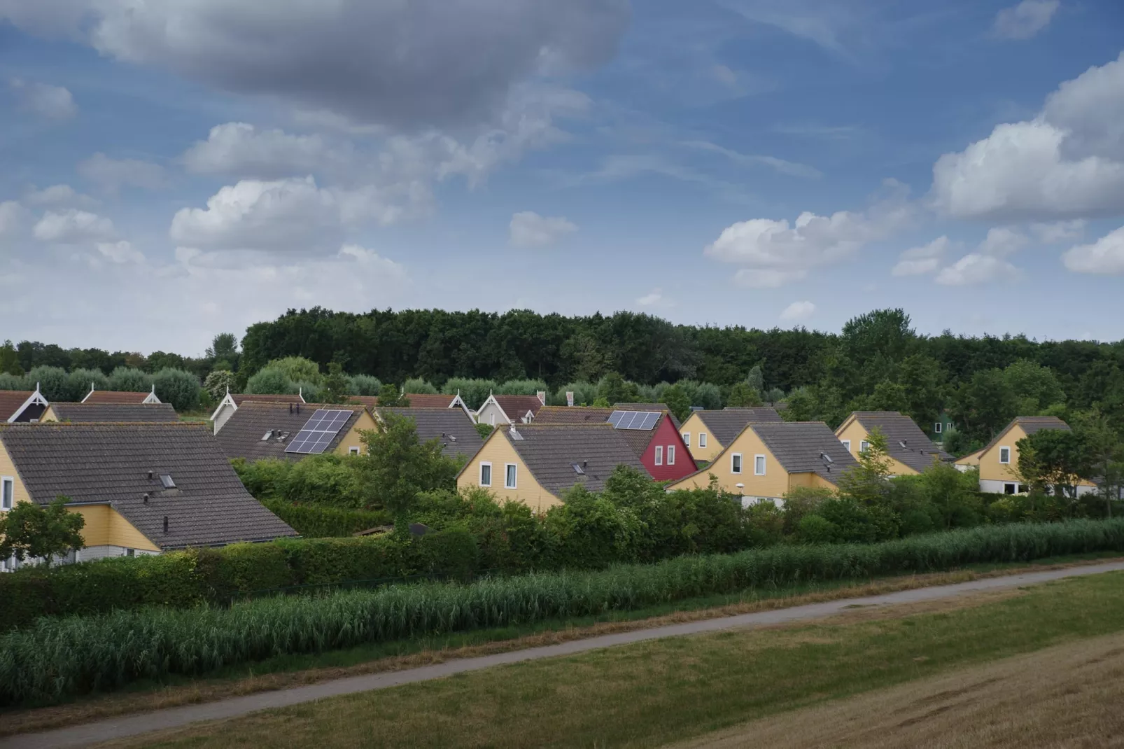 Villapark De Oesterbaai 92-Zones d'été à 1 km
