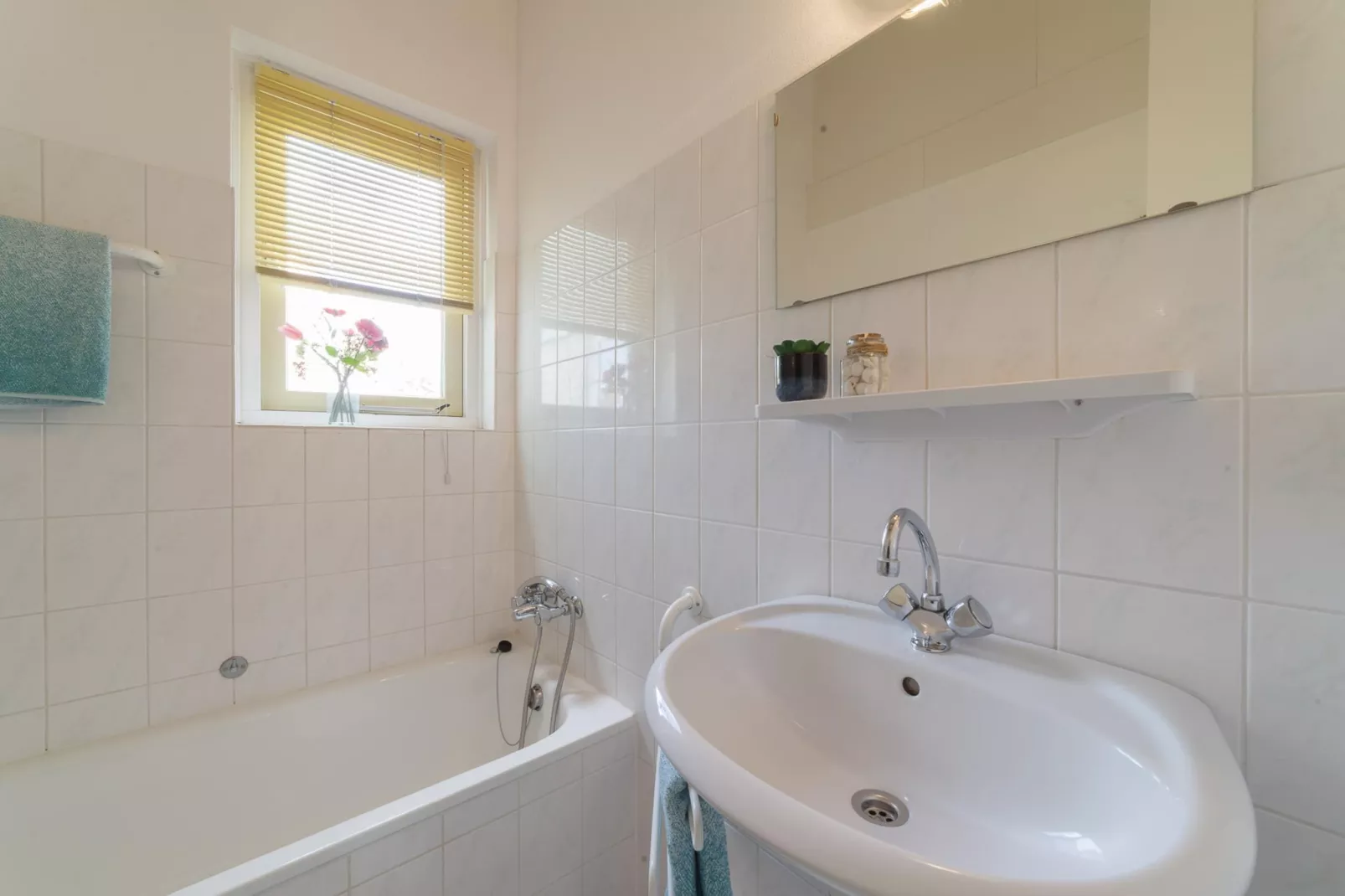 Villapark De Oesterbaai 123-Badezimmer