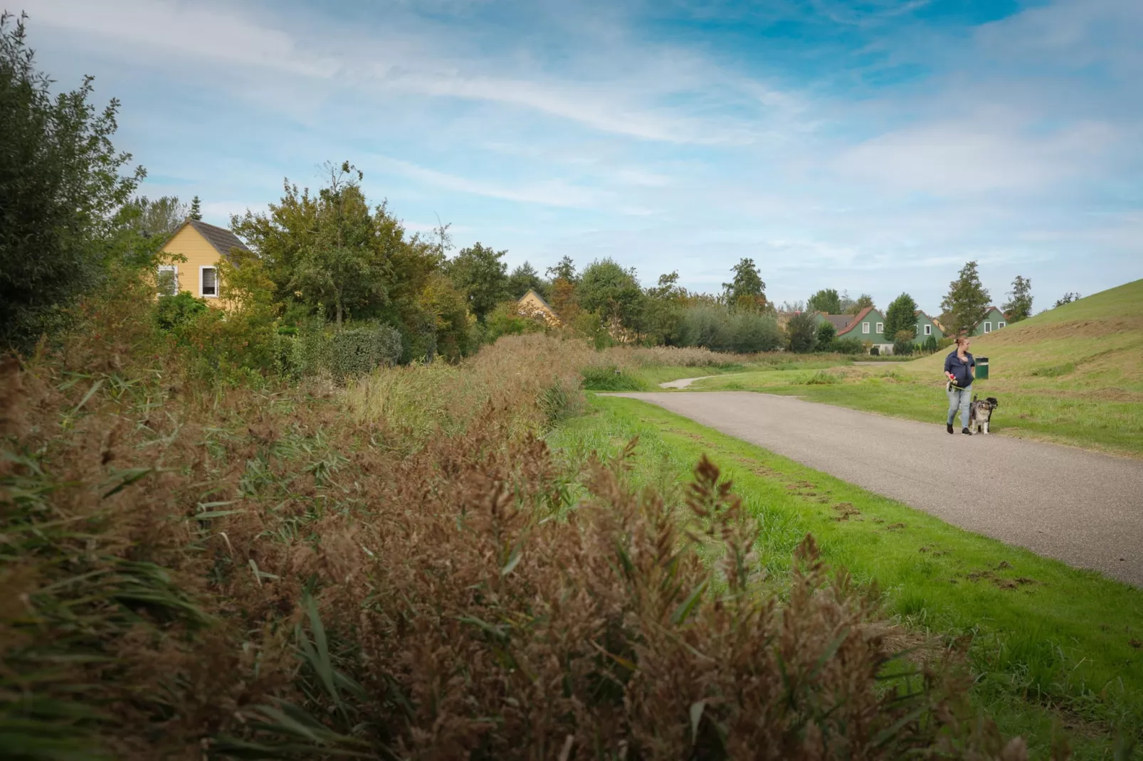 Villapark De Oesterbaai 142-Gebiete Sommer 1 km