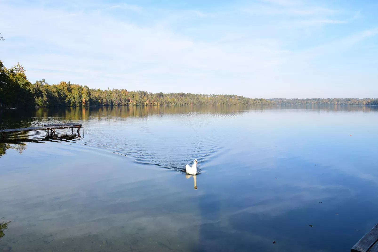 Holiday home Parchowo-Areas summer 1km