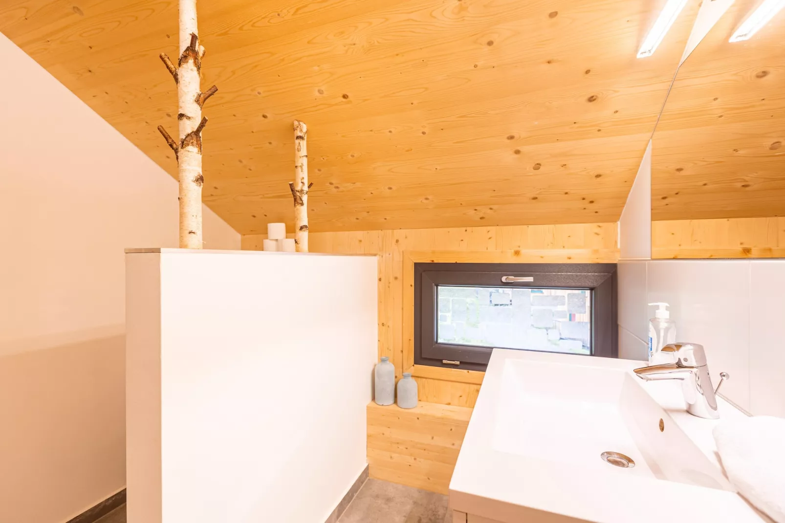 Kreischberg Chalets 28-Bathroom