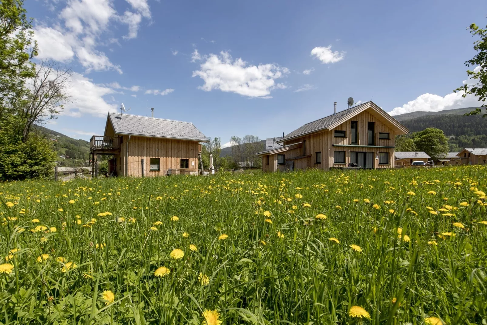 Kreischberg Chalet 57-Exterior summer