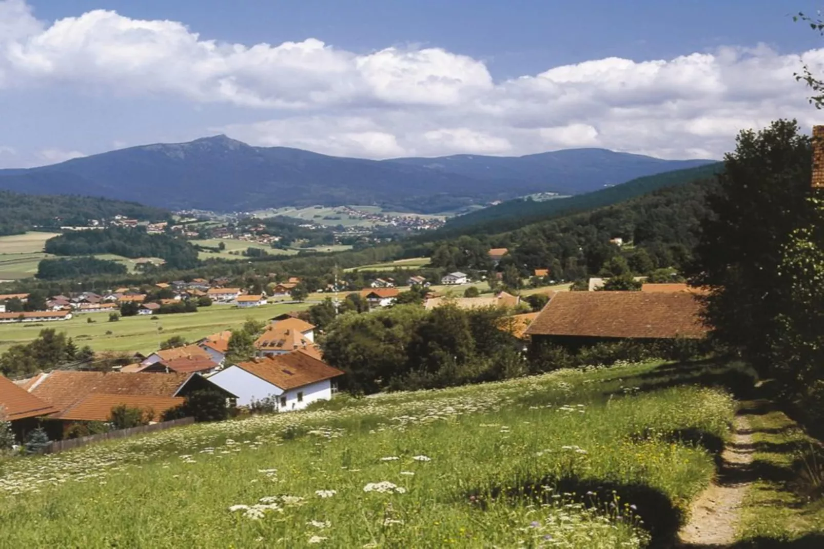 Ferienwohnung in Arrach bei Skigebiet Großer Arber-Areas summer 20km