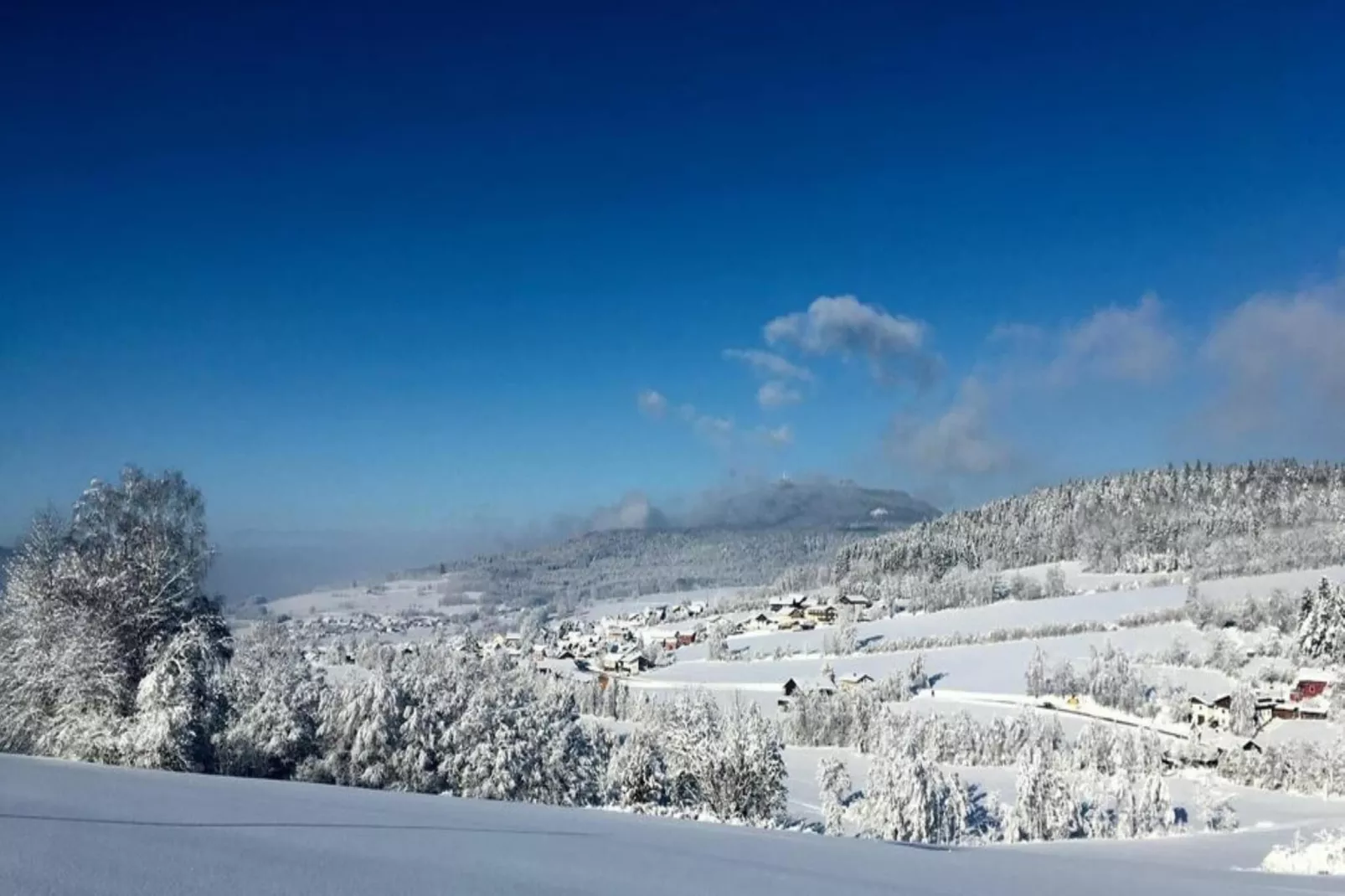 Ferienwohnung in Arrach bei Skigebiet Großer Arber-Area winter 20km