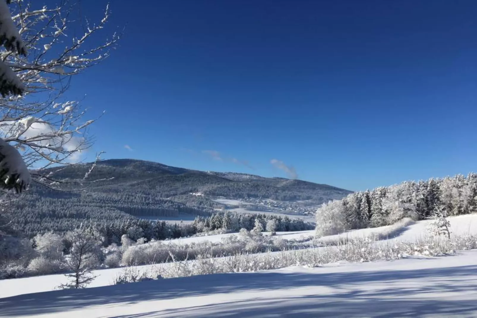 Ferienwohnung in Arrach bei Skigebiet Großer Arber-Area winter 20km