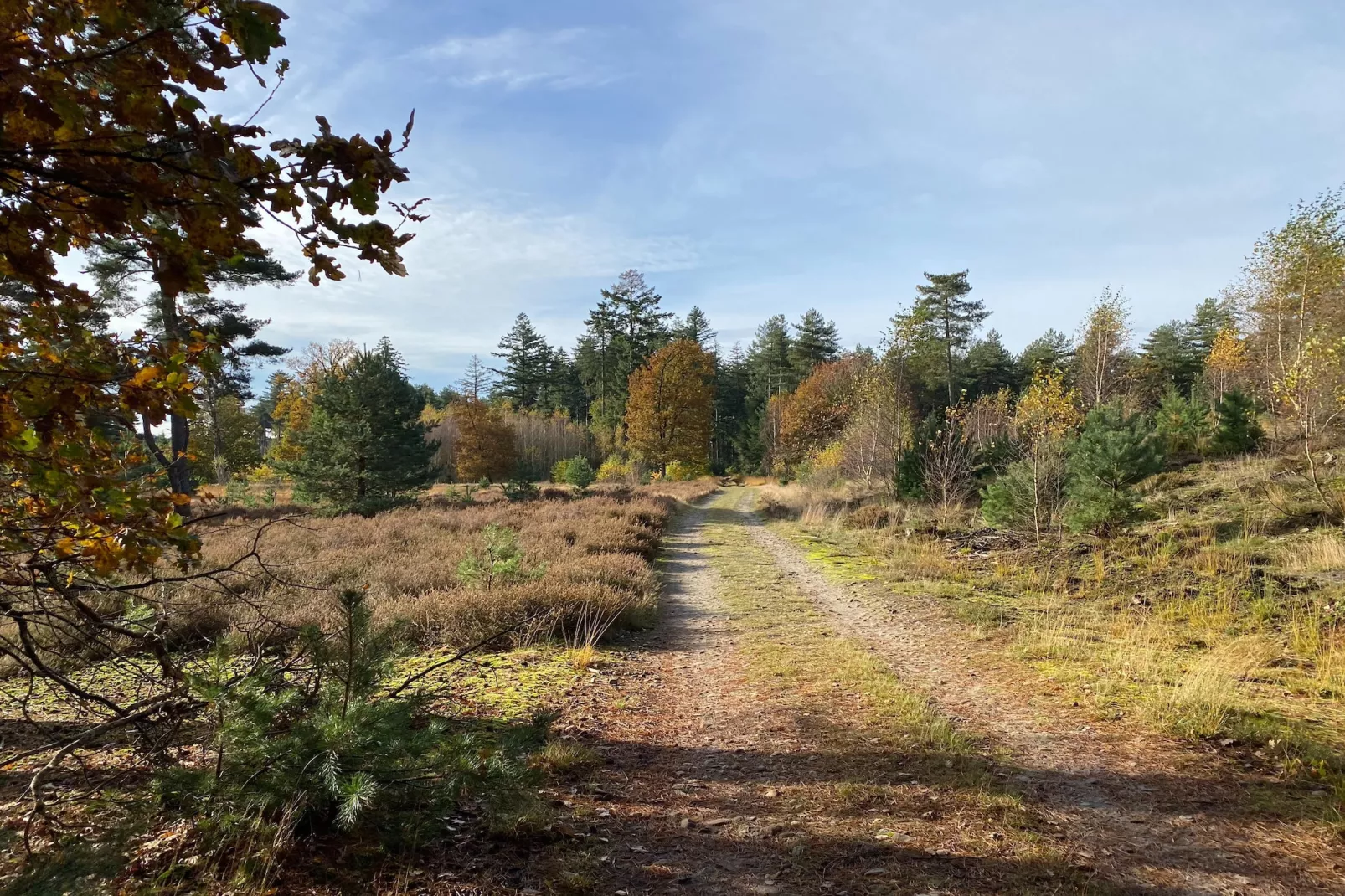 Dorpswoning Op Niveau 4-Gebiete Sommer 5 km