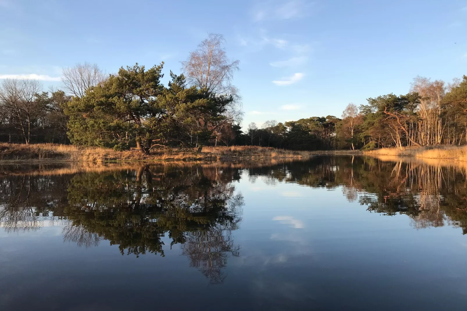 Dorpswoning Op Niveau 4-Gebiete Sommer 5 km