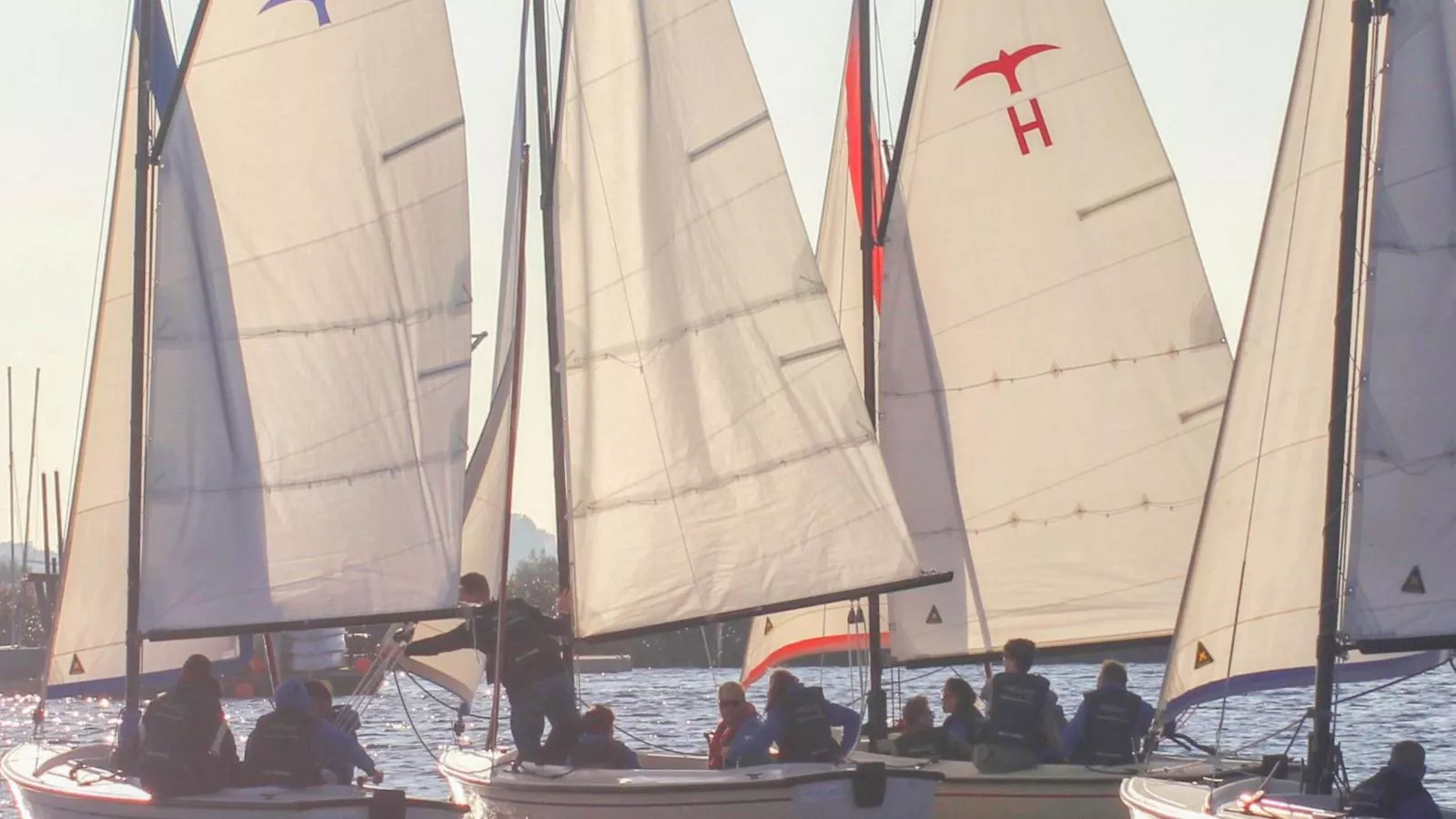 De Kaag Watersport Groepsaccommodatie - 80 pers-Areas summer 1km