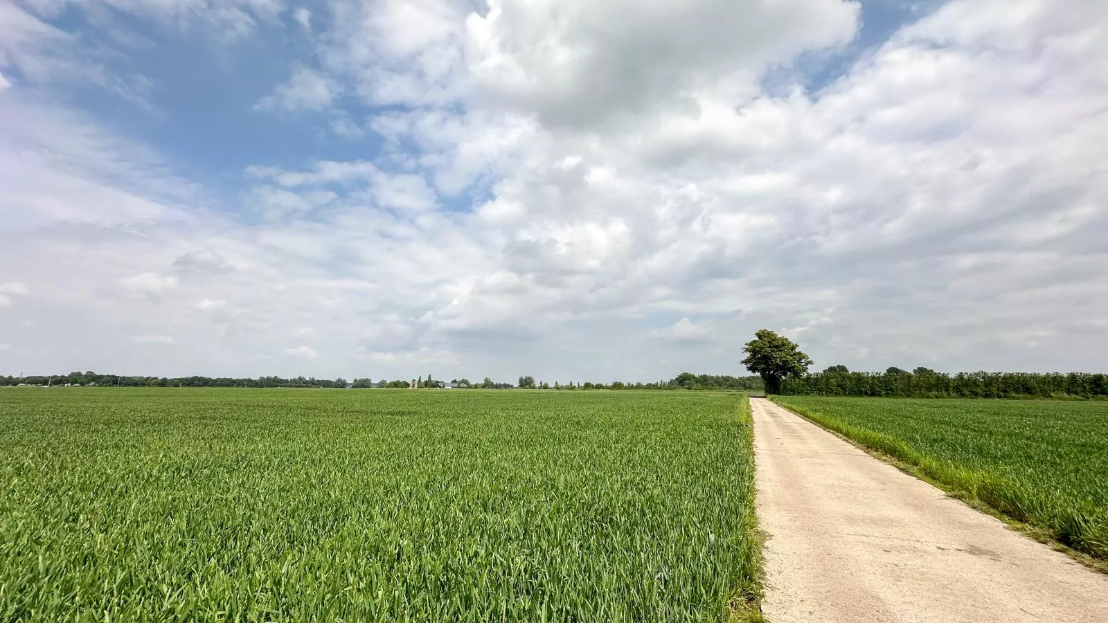 Bronzigt-Areas summer 1km