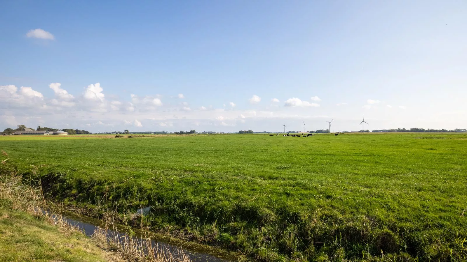 Het Koetshuis-View summer