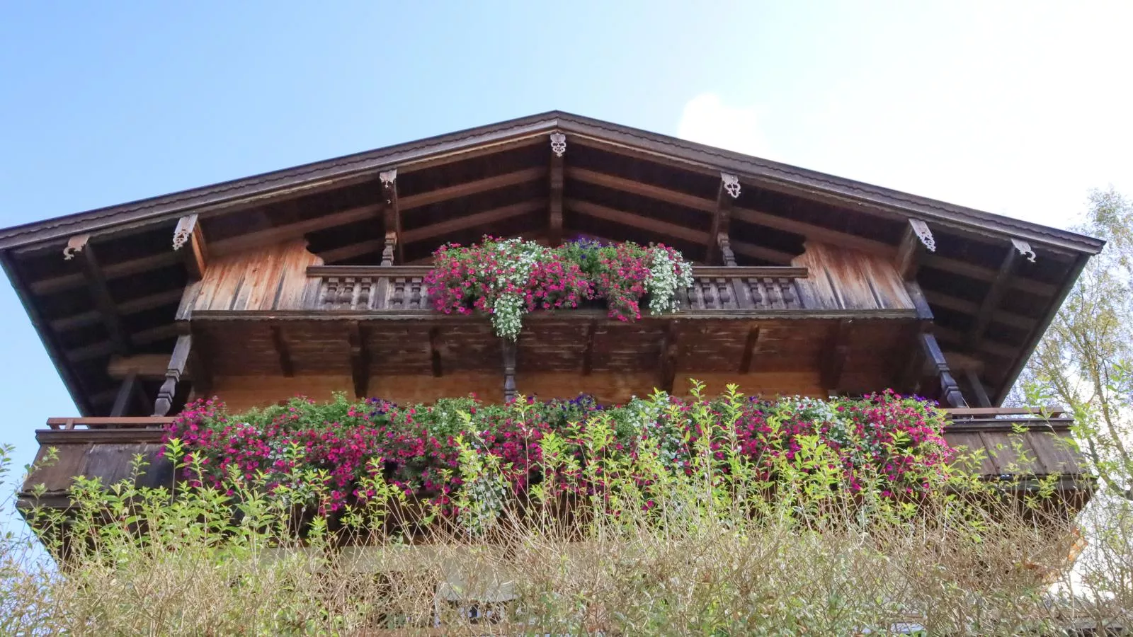 Birkheim-Exterior summer