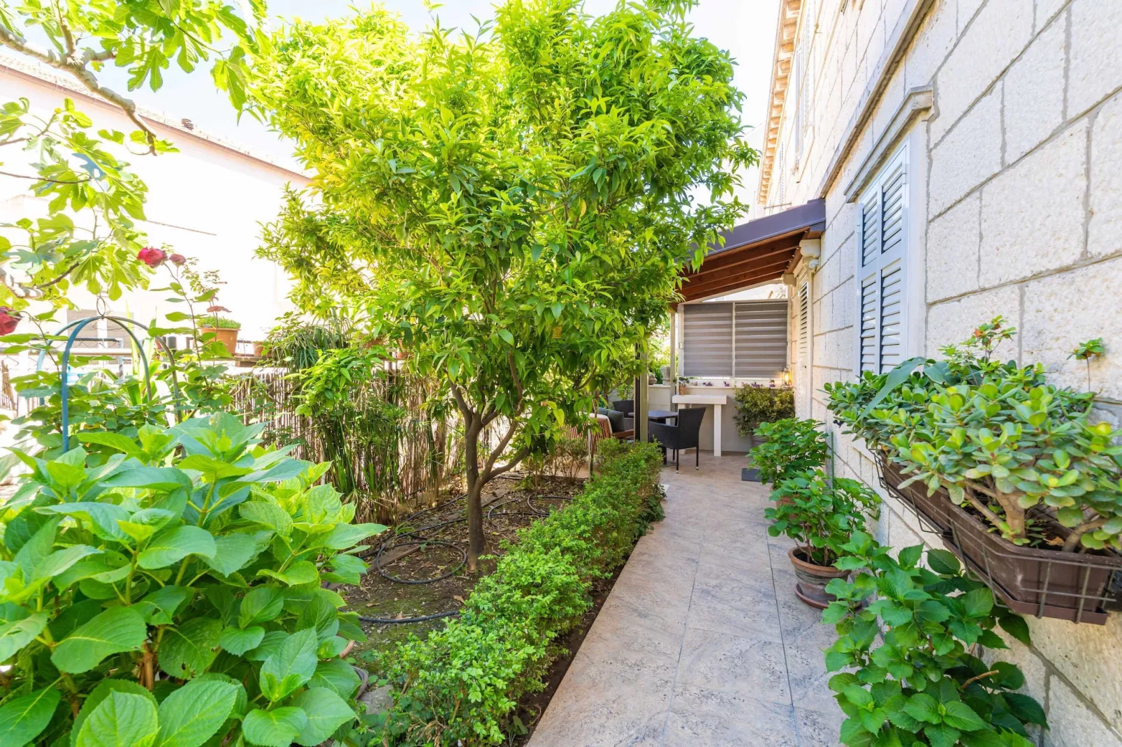 Apartments and Room Frane - Double Room-Terrace