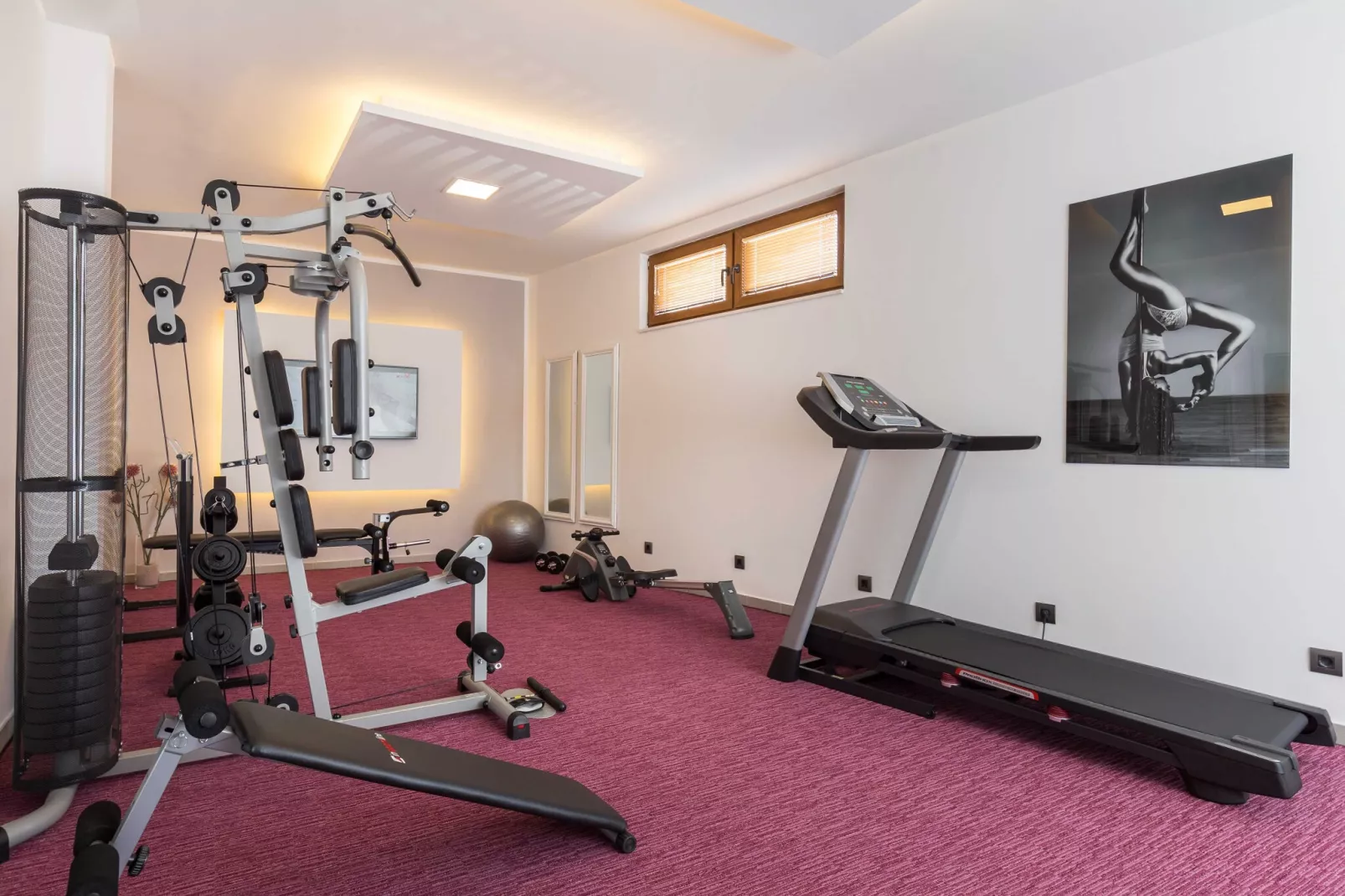 Apartments Villa Peragro - Superior Studio Apartment (PLAVI)-Gym