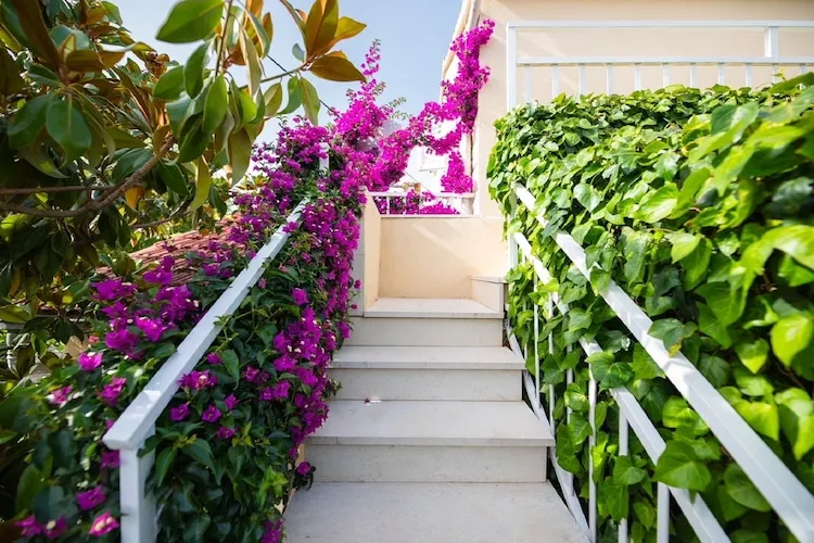 Apartments Roda - One Bedroom Apartment with Terrace (Mira) - (ST)-Extérieur